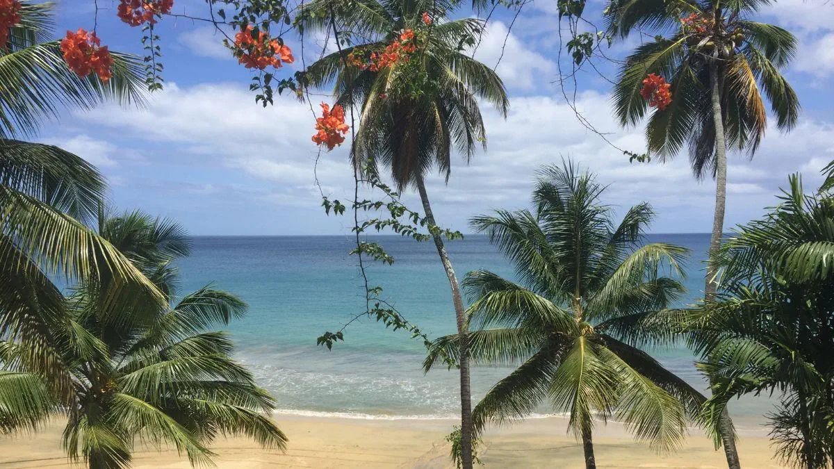 Gujana Francuska Surinam Gujana Trynidad z wypoczynkiem na Tobago - zdjęcie 4