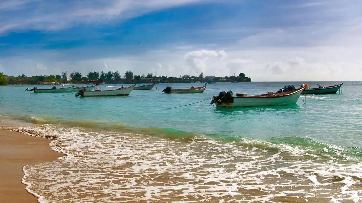 Gujana Francuska Surinam Gujana Trynidad z wypoczynkiem na Tobago - zdjęcie 6