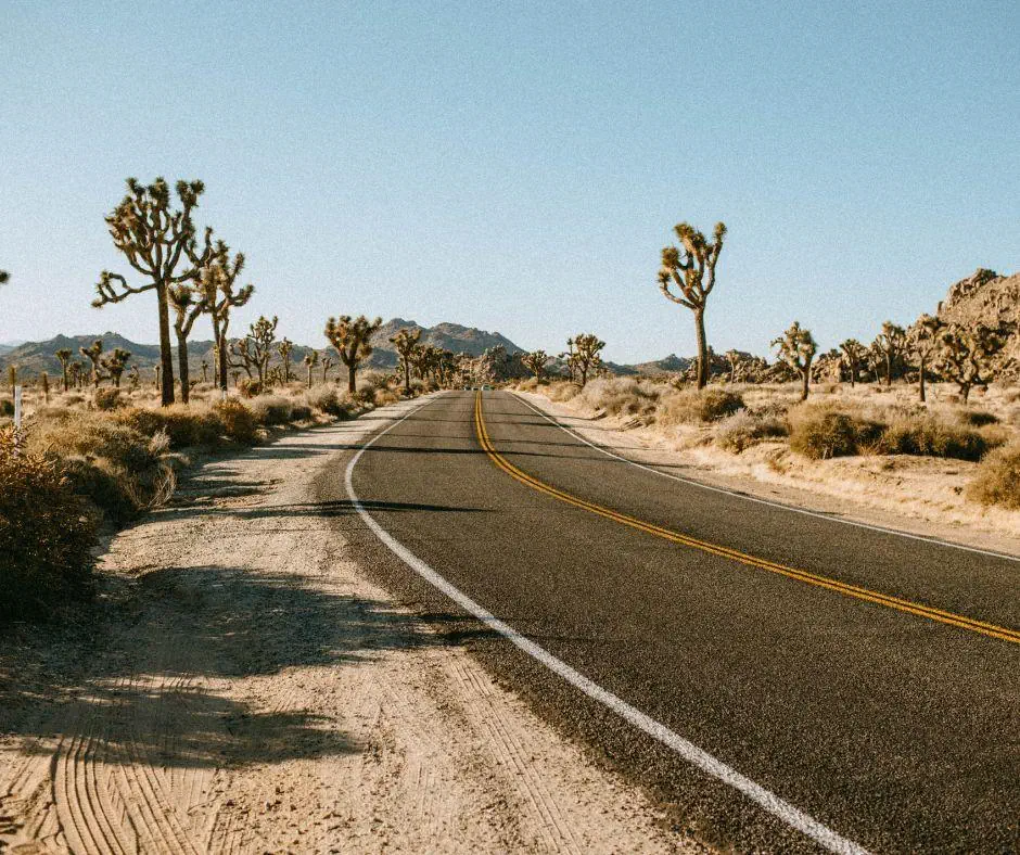 USA - Kalifornia i Hawaje - zdjęcie 12