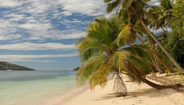 Australia - Nowa Zelandia - Samoa - Fidżi - zdjęcie 11
