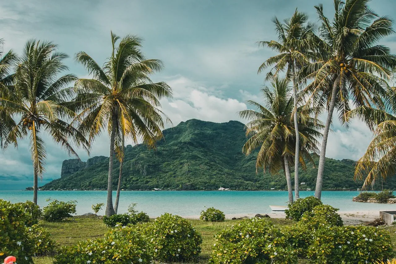 Polinezja Francuska (Tahiti, Archipelag Tuamotu, Markizy, Wyspa Reao), Wyspa Pitcairn, Wyspa Wielkanocna, Archipelag Juan Fernandez - zdjęcie 9