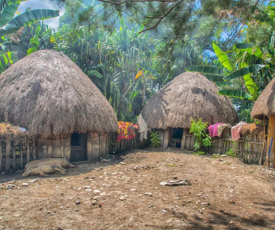 Indonezja z Papuą Zachodnią i Radża Ampat, Timor (Opcja Brunei) - zdjęcie 8
