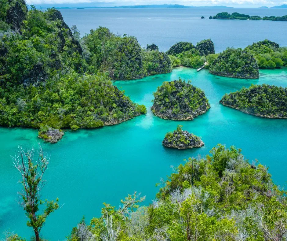 Indonezja z Papuą Zachodnią i Radża Ampat, Timor (Opcja Brunei) - zdjęcie 5