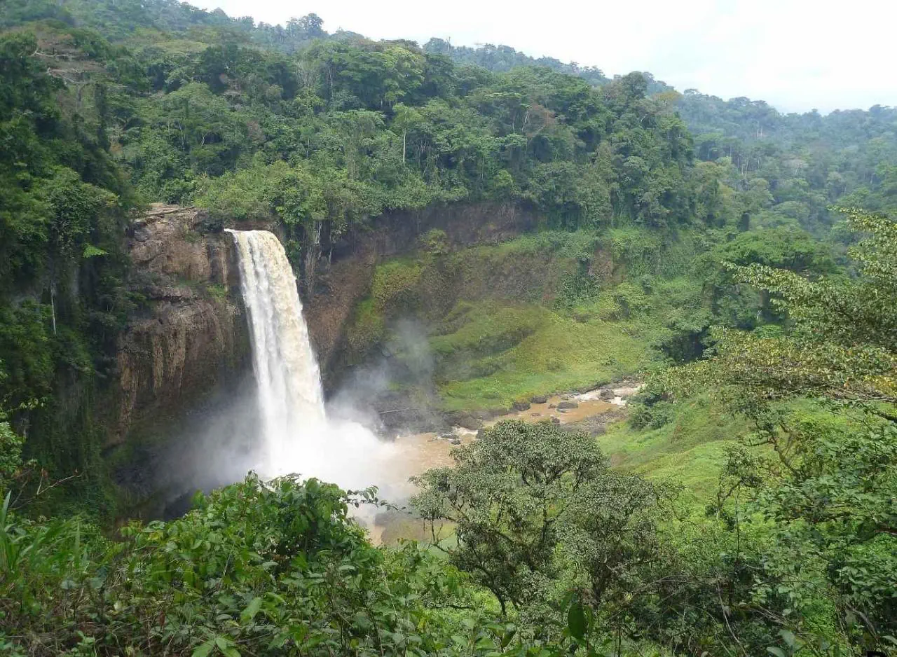 Kamerun - Republika Środkowej Afryki - Kongo - zdjęcie 4