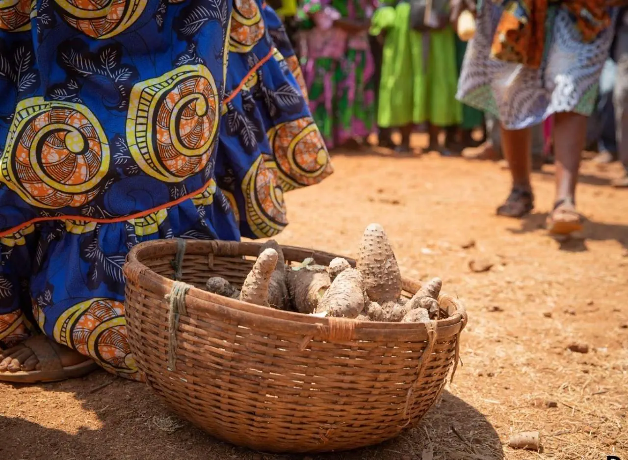 Kamerun - Republika Środkowej Afryki - Kongo - zdjęcie 8