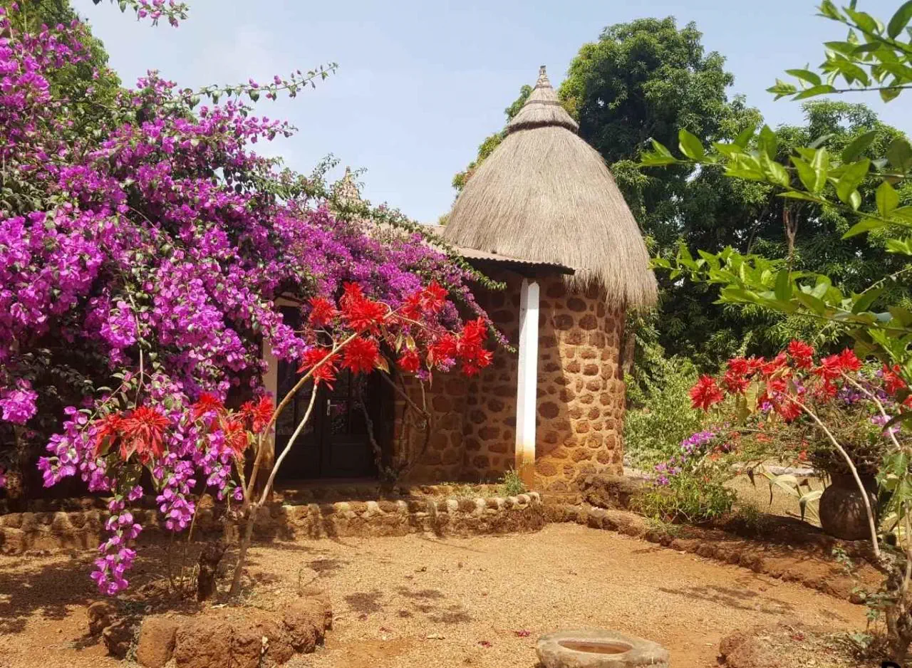 Kamerun - Republika Środkowej Afryki - Kongo - zdjęcie 5