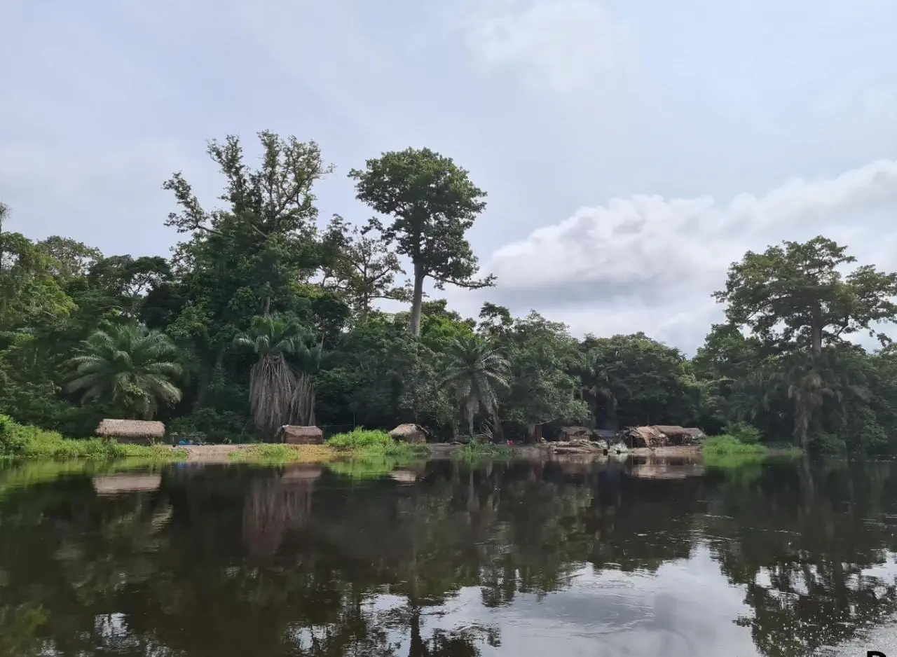 Kamerun - Republika Środkowej Afryki - Kongo - zdjęcie 12