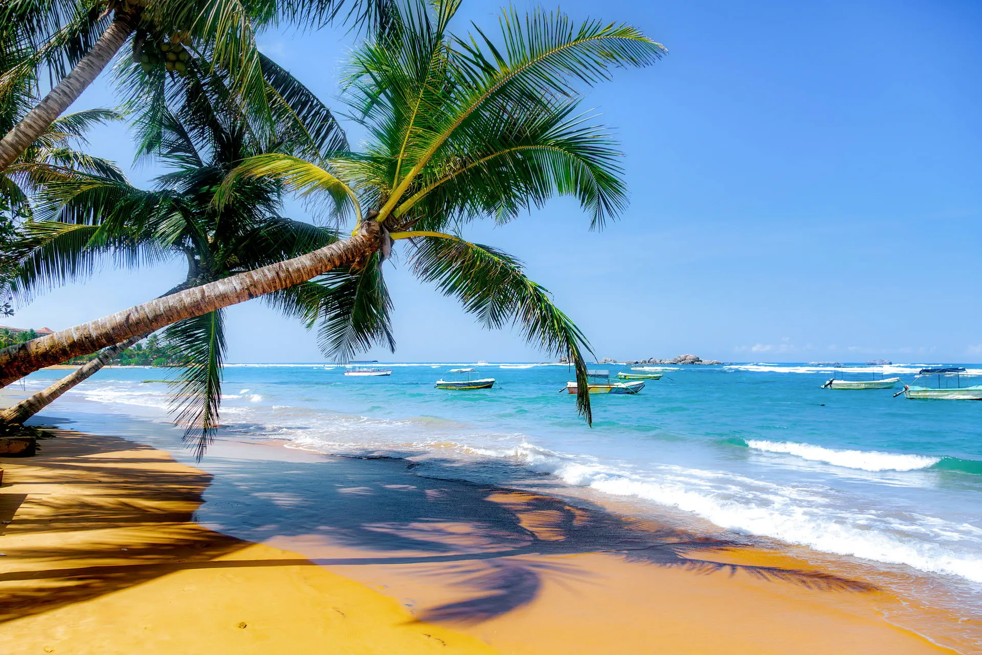 Sri Lanka - Sekrety Wschodniego Wybrzeża - zdjęcie 35