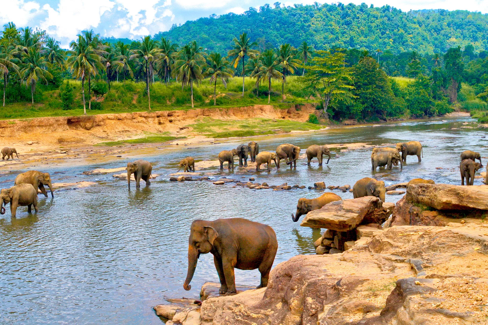 Sri Lanka - Sekrety Wschodniego Wybrzeża - zdjęcie 18