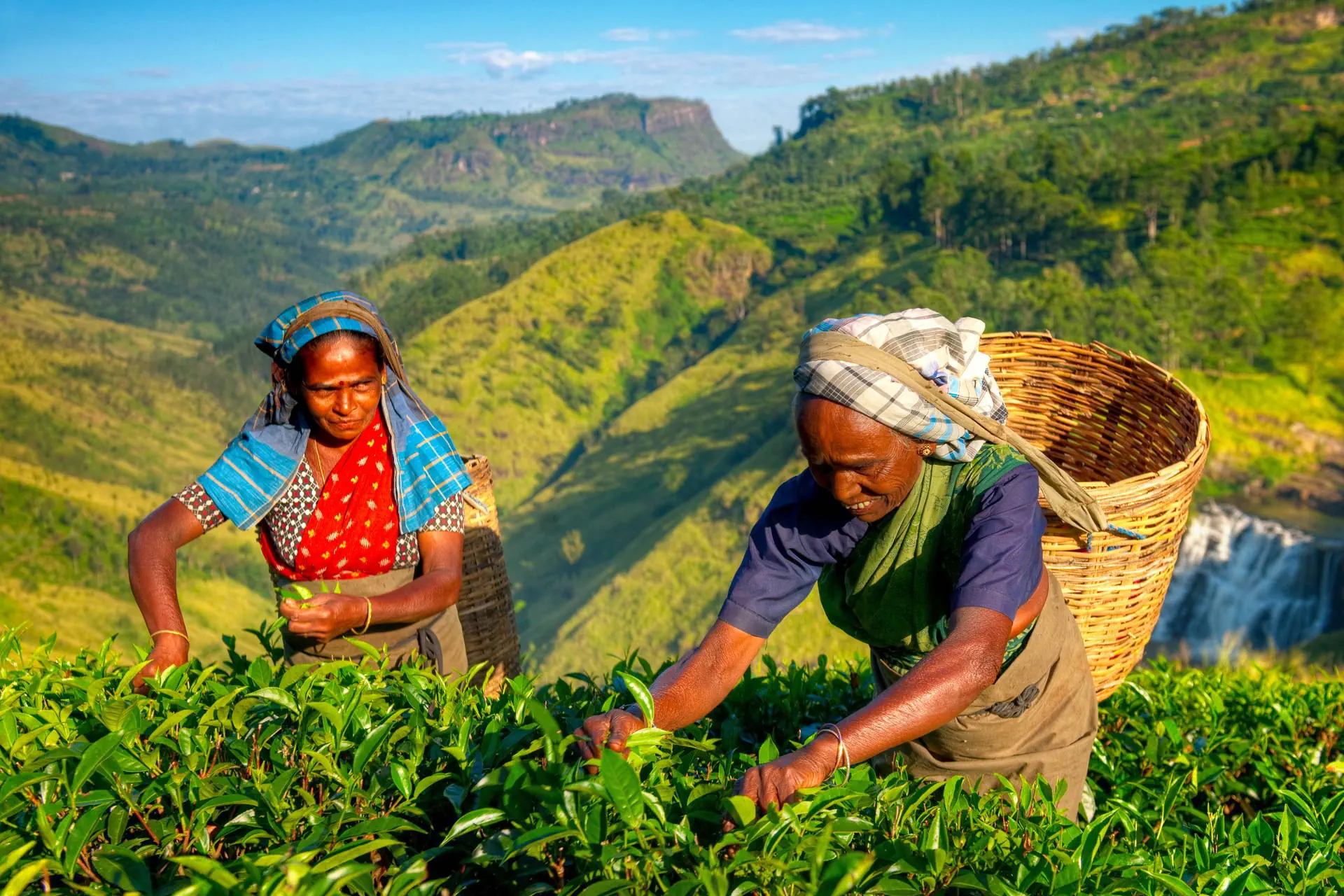 Sri Lanka - Sekrety Wschodniego Wybrzeża - zdjęcie 26
