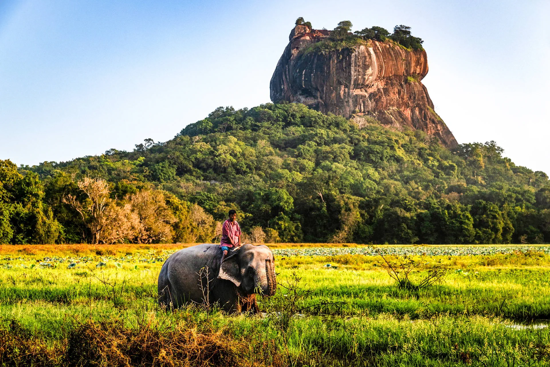 Sri Lanka - Sekrety Wschodniego Wybrzeża - zdjęcie 3