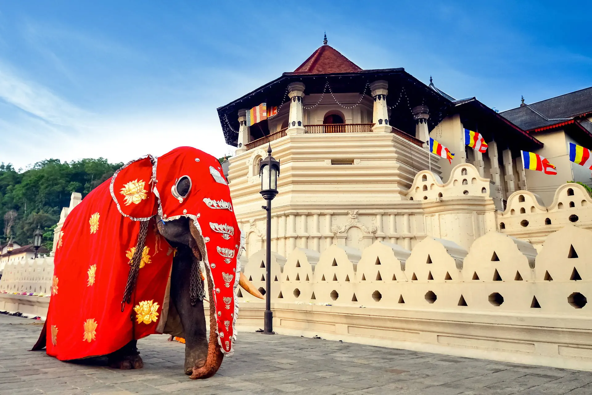 Sri Lanka - Sekrety Wschodniego Wybrzeża - zdjęcie 21