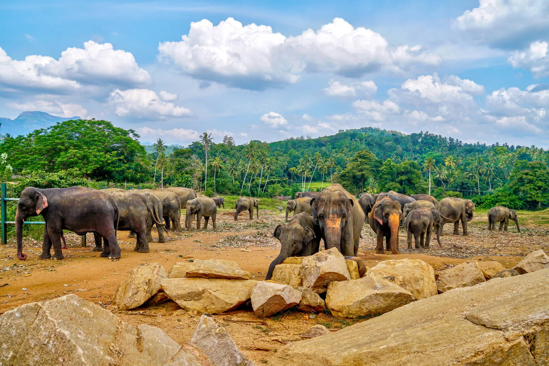Sri Lanka - Sekrety Wschodniego Wybrzeża - zdjęcie 27