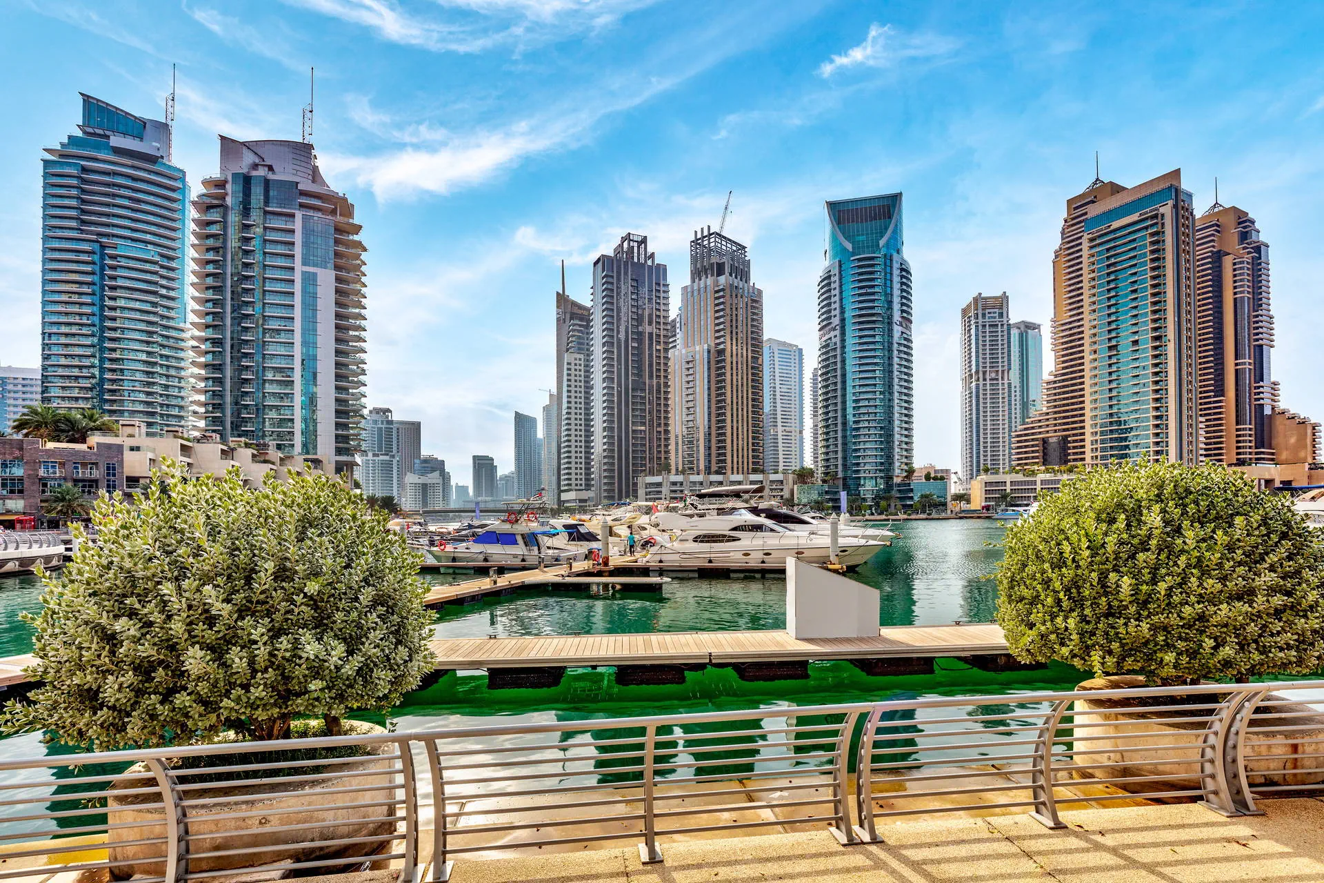 Emiraty Arabskie - Przygoda z szejkiem - zdjęcie 17