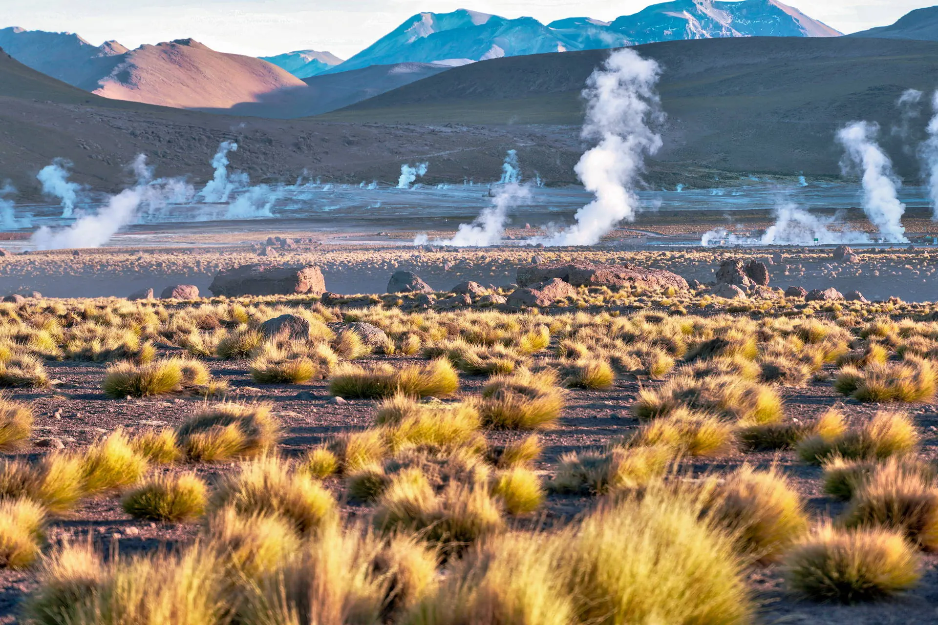 Na szlaku piękna - Chile, Boliwia, Peru - zdjęcie 33