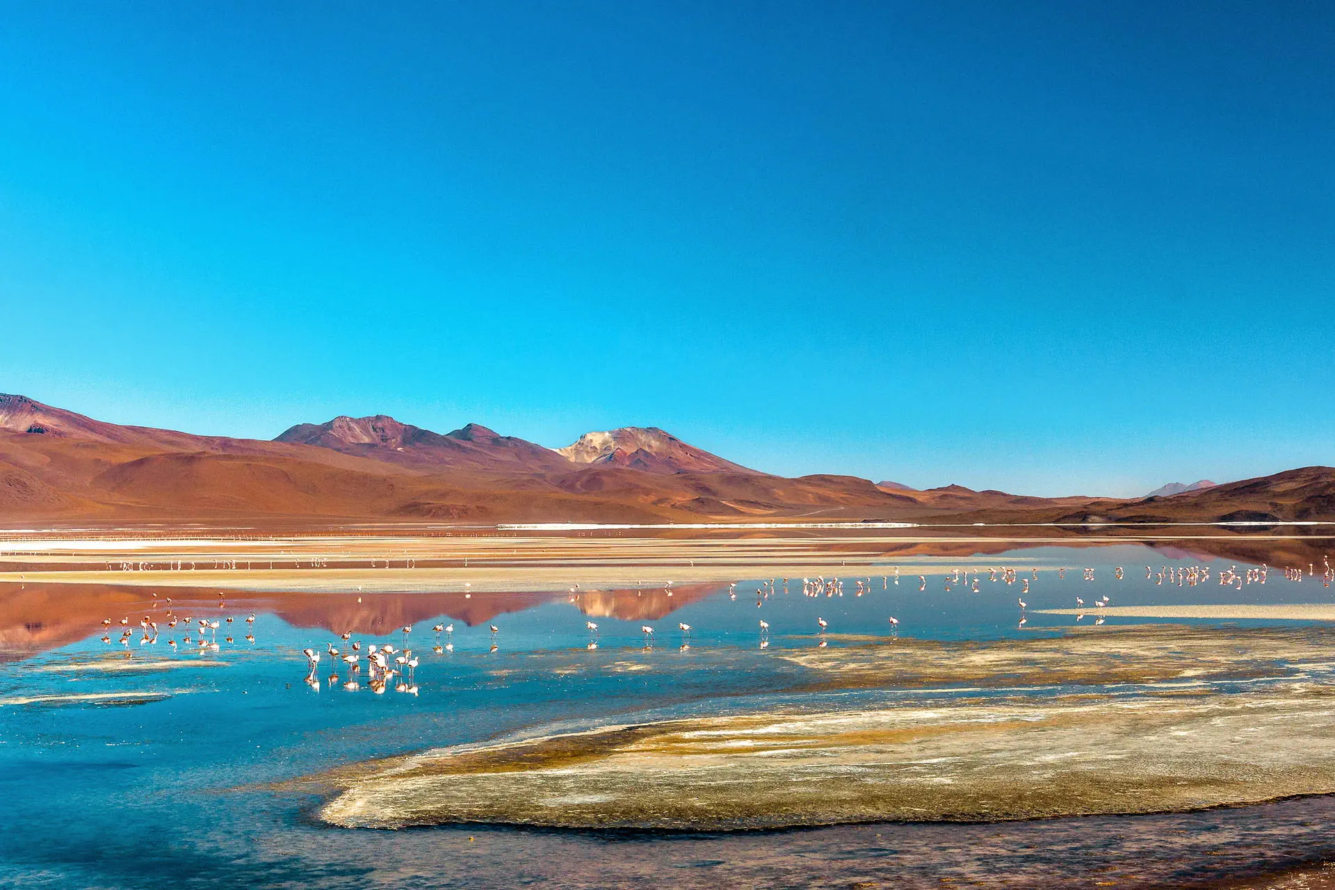 Na szlaku piękna - Chile, Boliwia, Peru - zdjęcie 40