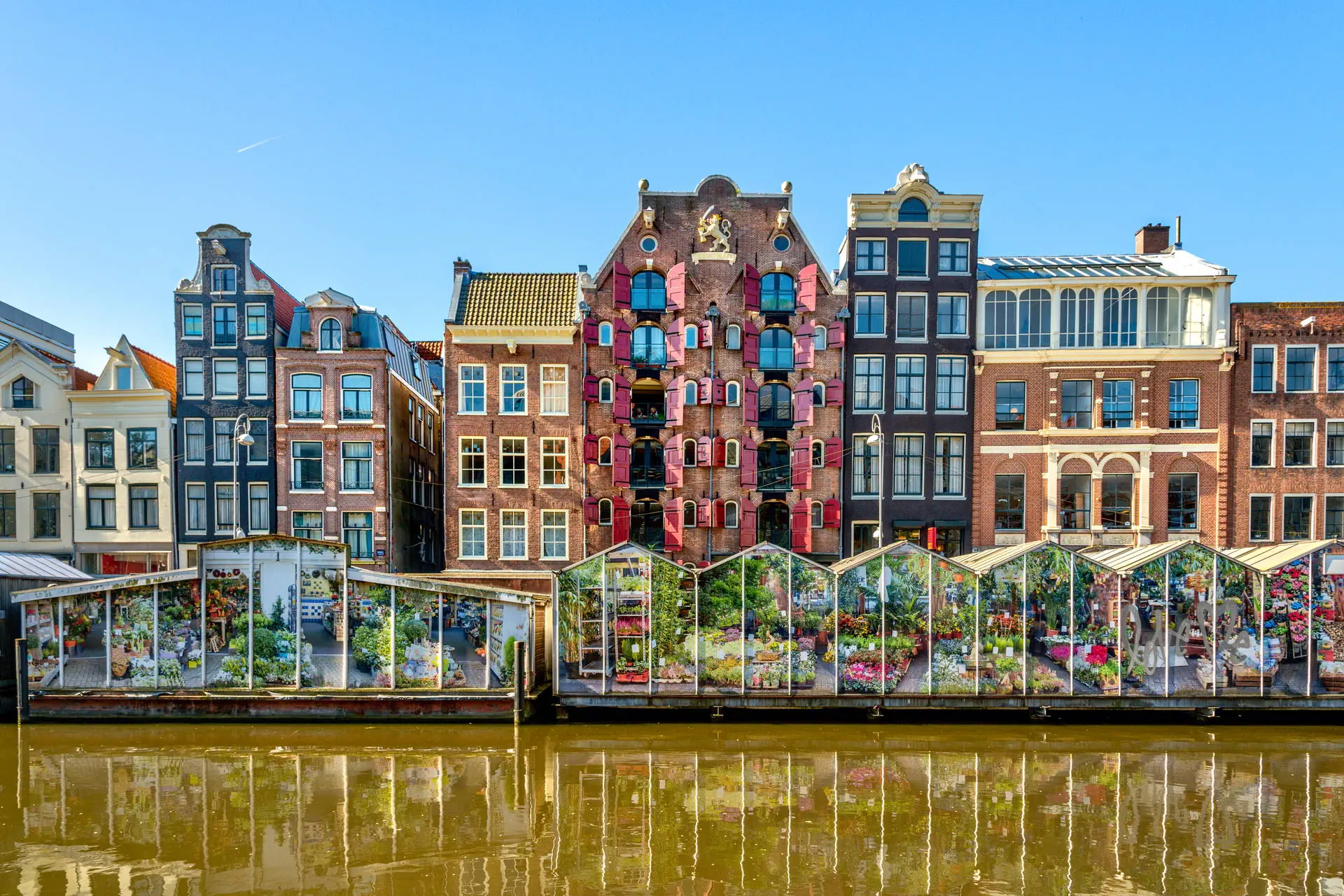 Sylwester - Amsterdam - zdjęcie 14