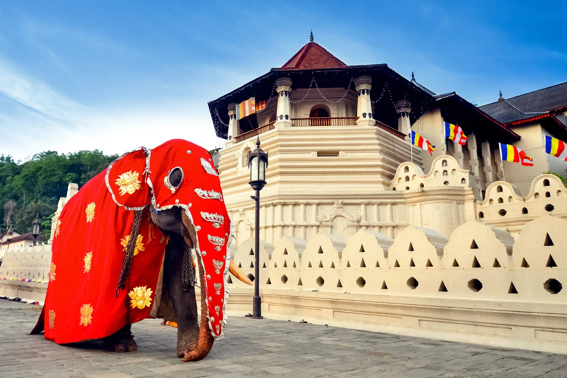 Sri Lanka - Łza z policzka Indii - zdjęcie 40