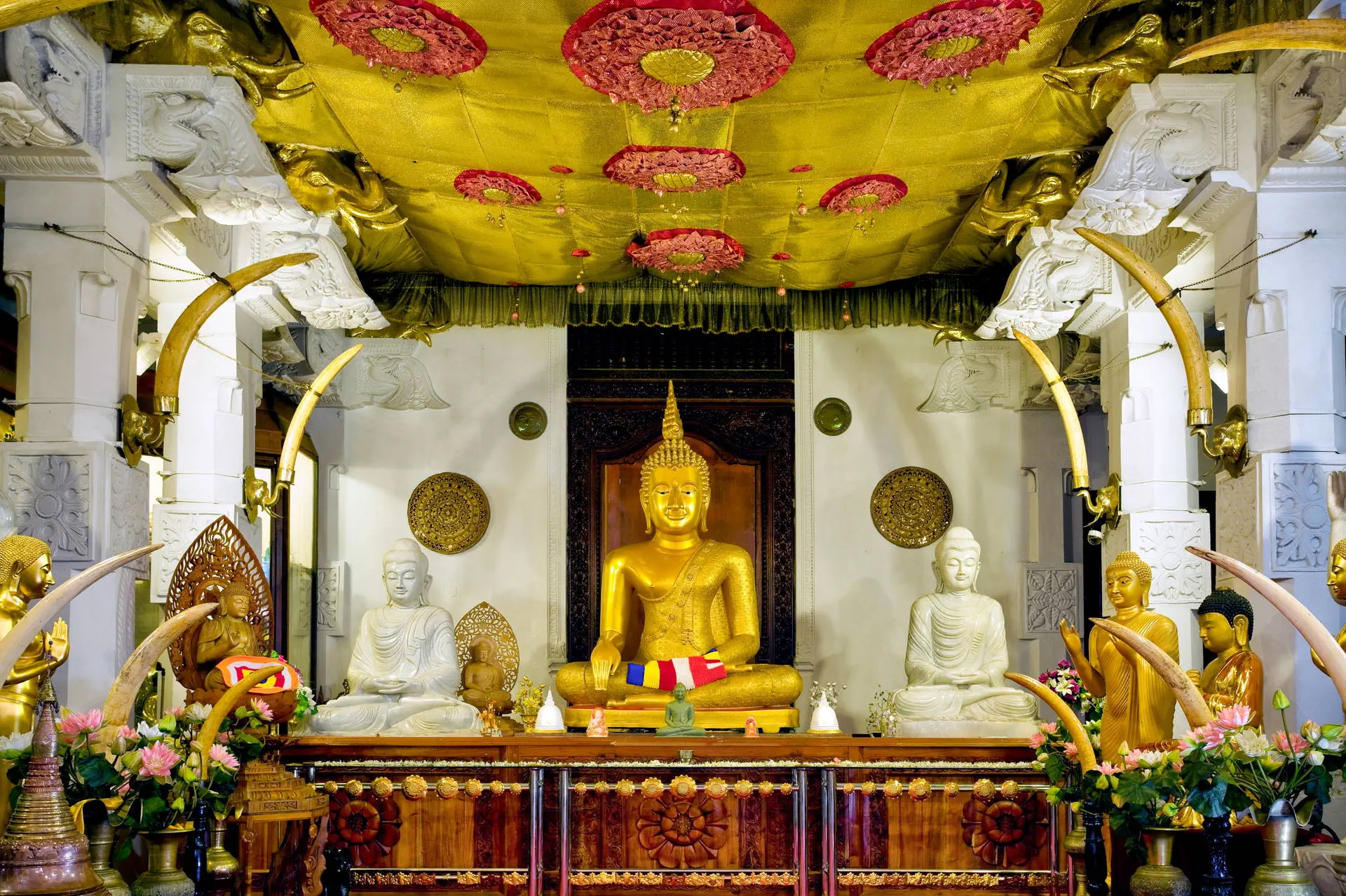 Sri Lanka - Perły Północy - zdjęcie 14