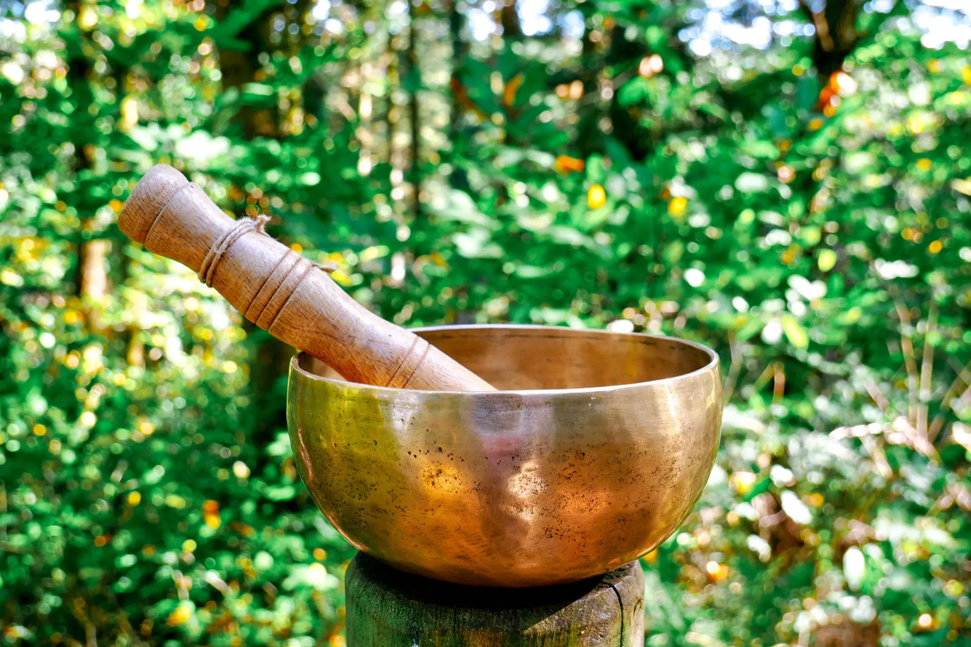 Sri Lanka - Perły Północy - zdjęcie 13