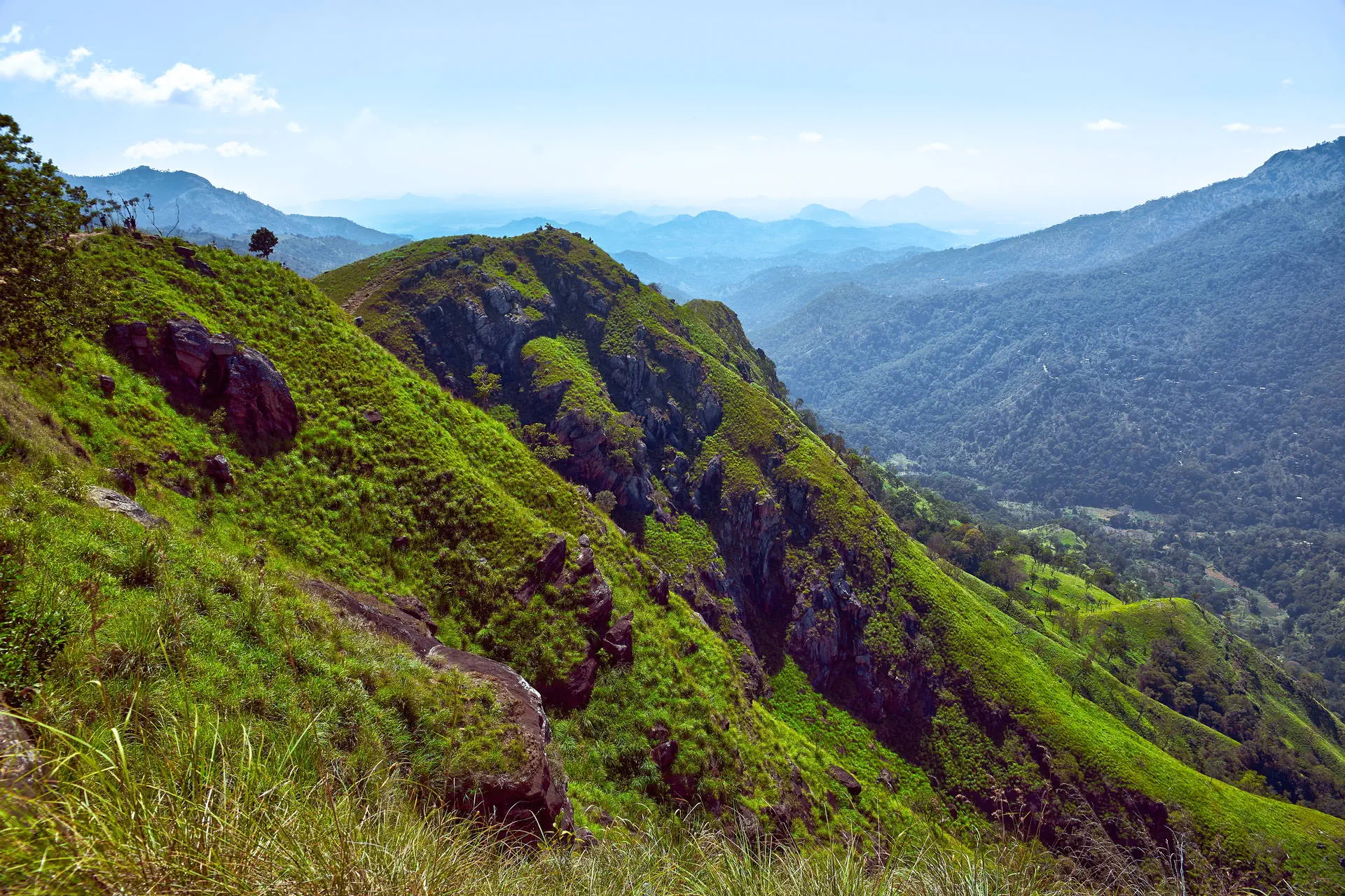Sri Lanka - Perły Północy - zdjęcie 23