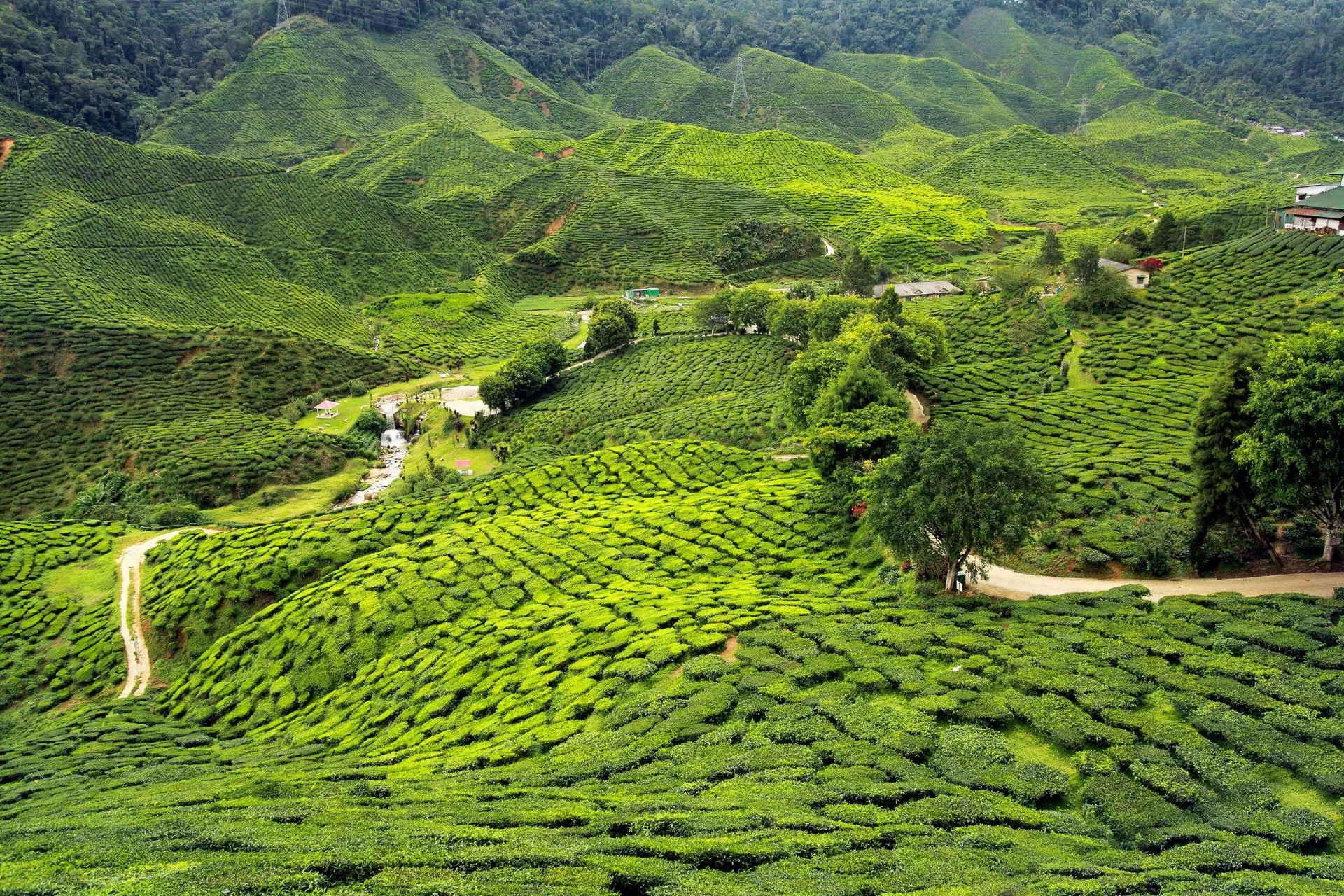 Sri Lanka - Perły Północy - zdjęcie 15