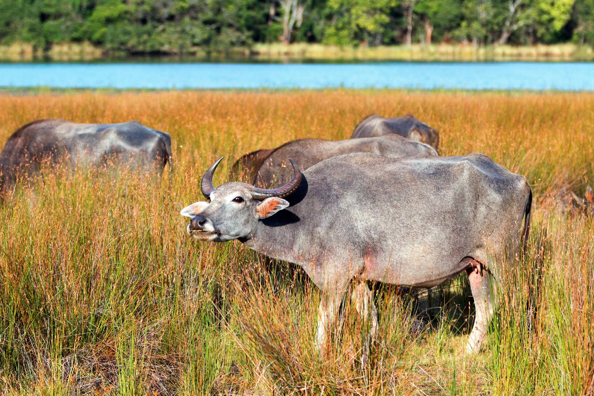 Sri Lanka - Perły Północy - zdjęcie 25