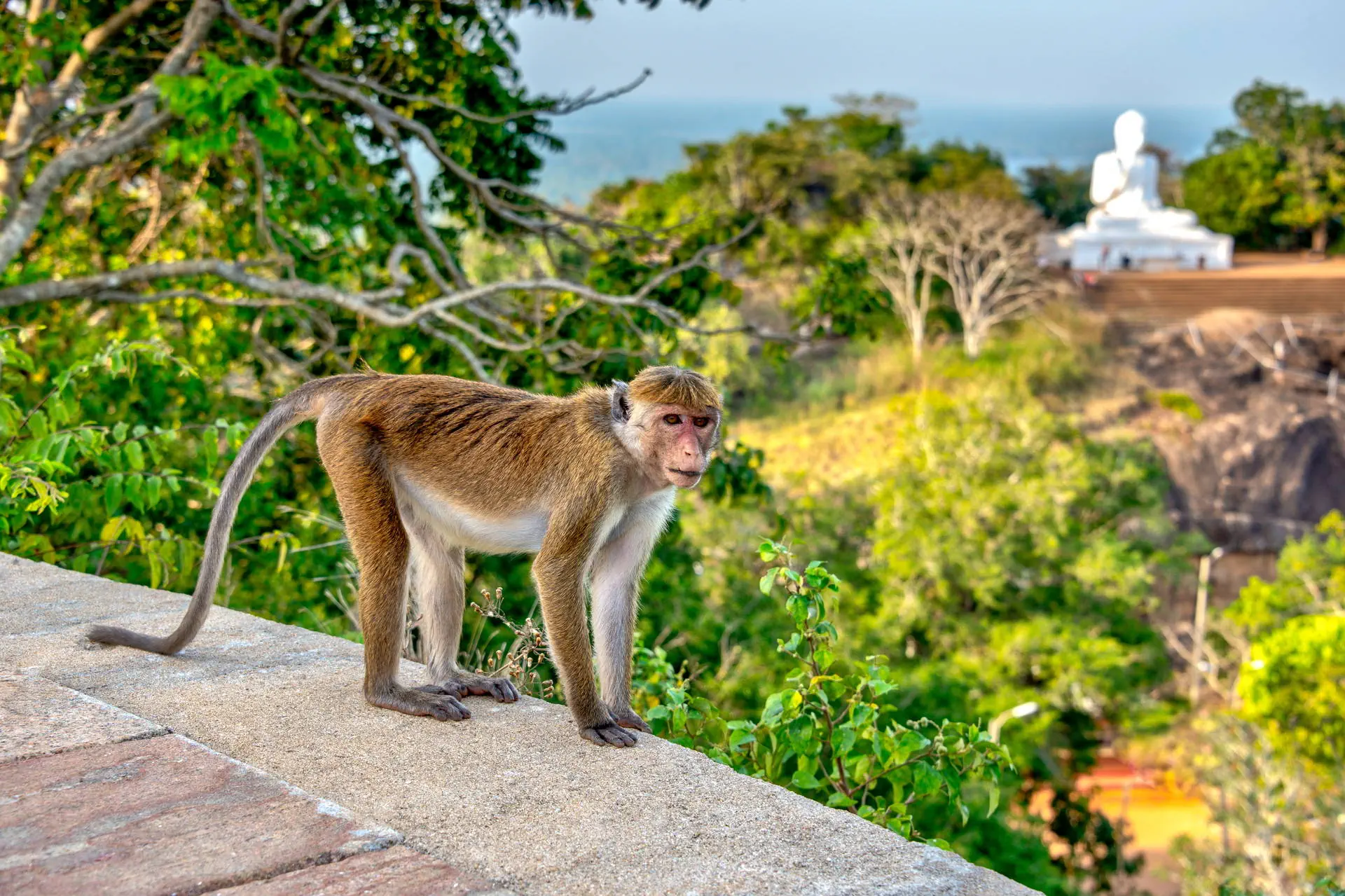Sri Lanka - Perły Północy - zdjęcie 18