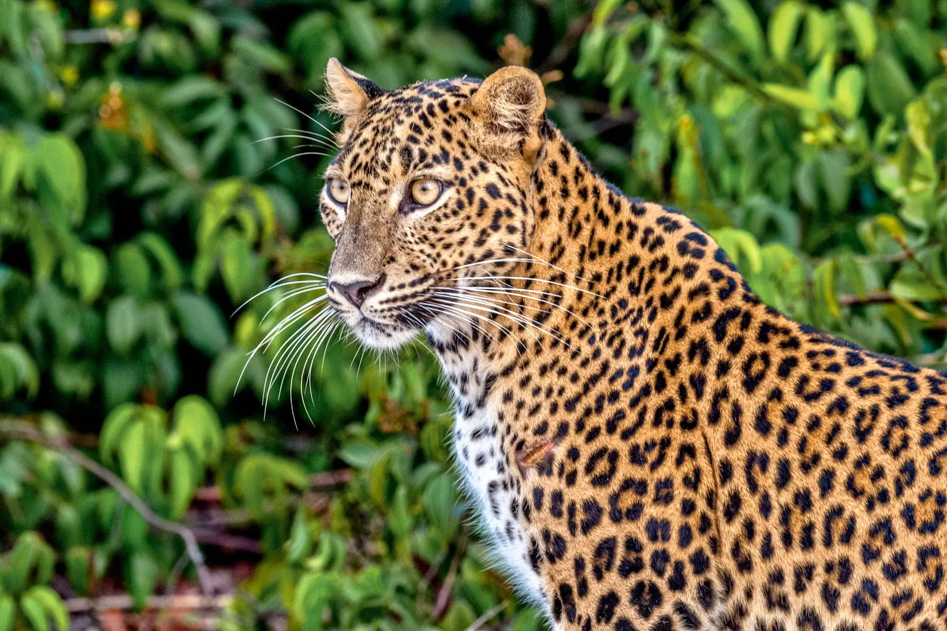 Sri Lanka - Perły Północy - zdjęcie 21