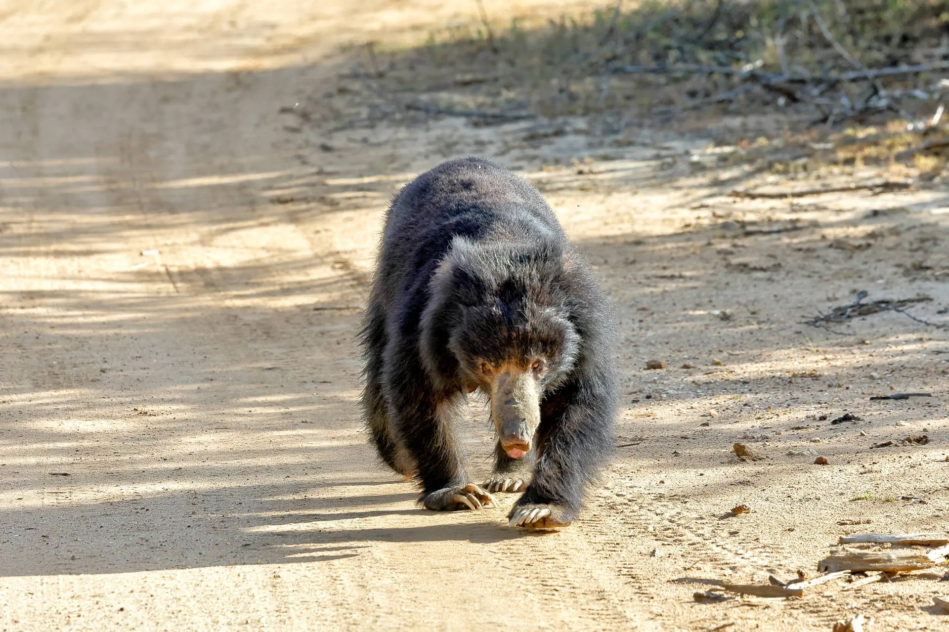 Sri Lanka - Perły Północy - zdjęcie 7