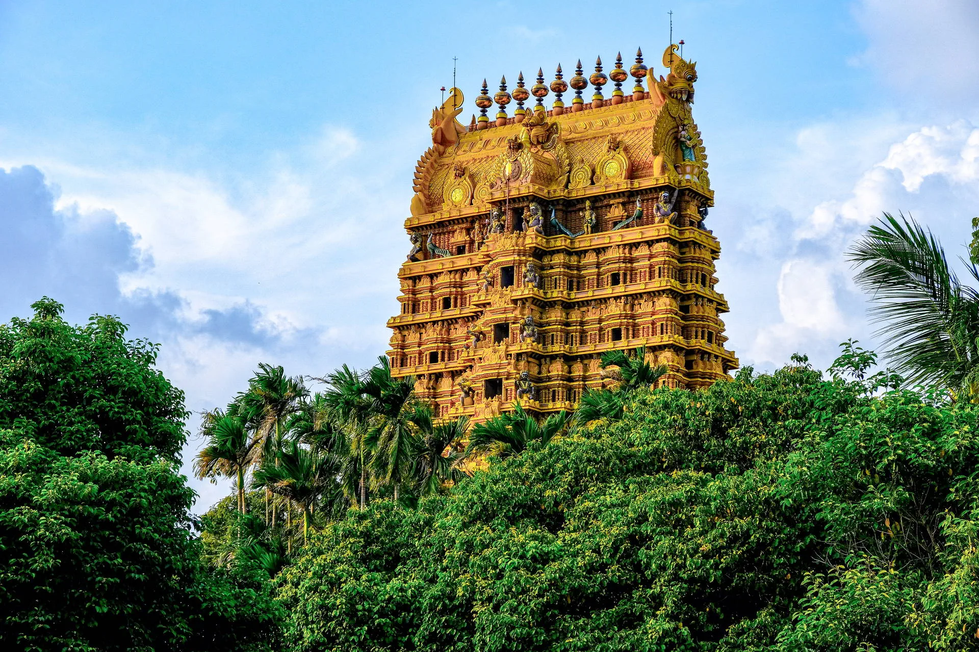 Sri Lanka - Perły Północy - zdjęcie 22