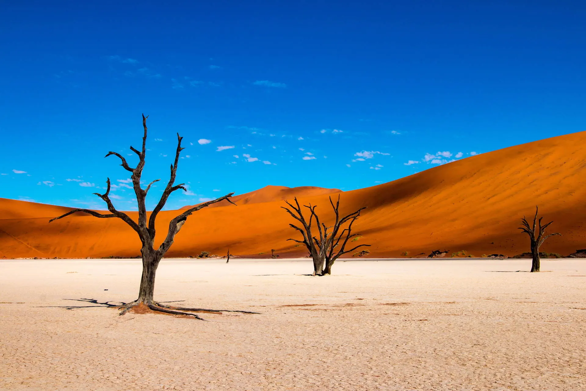 Po drodze do Himba - RPA i Namibia - zdjęcie 9