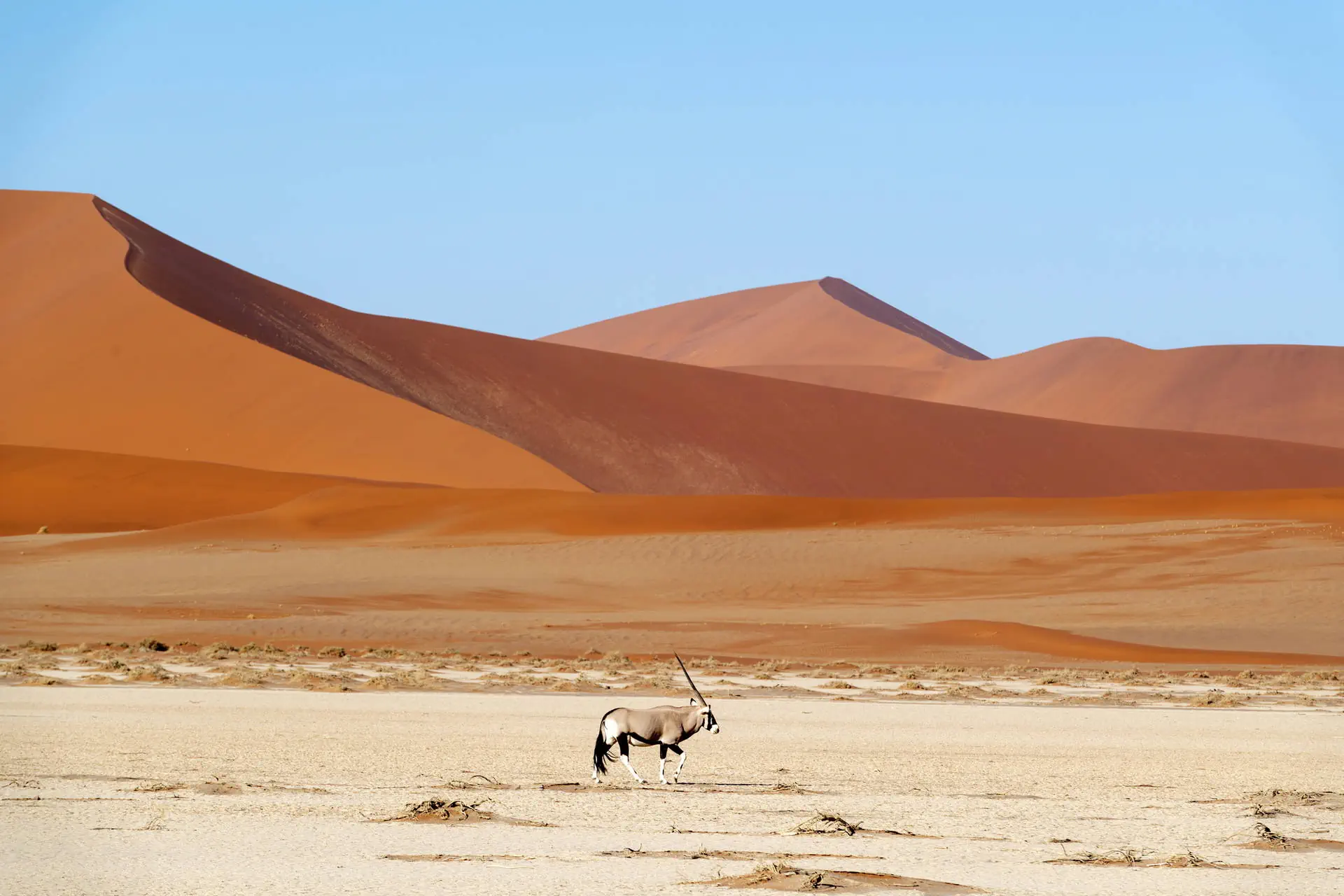 Po drodze do Himba - RPA i Namibia - zdjęcie 15