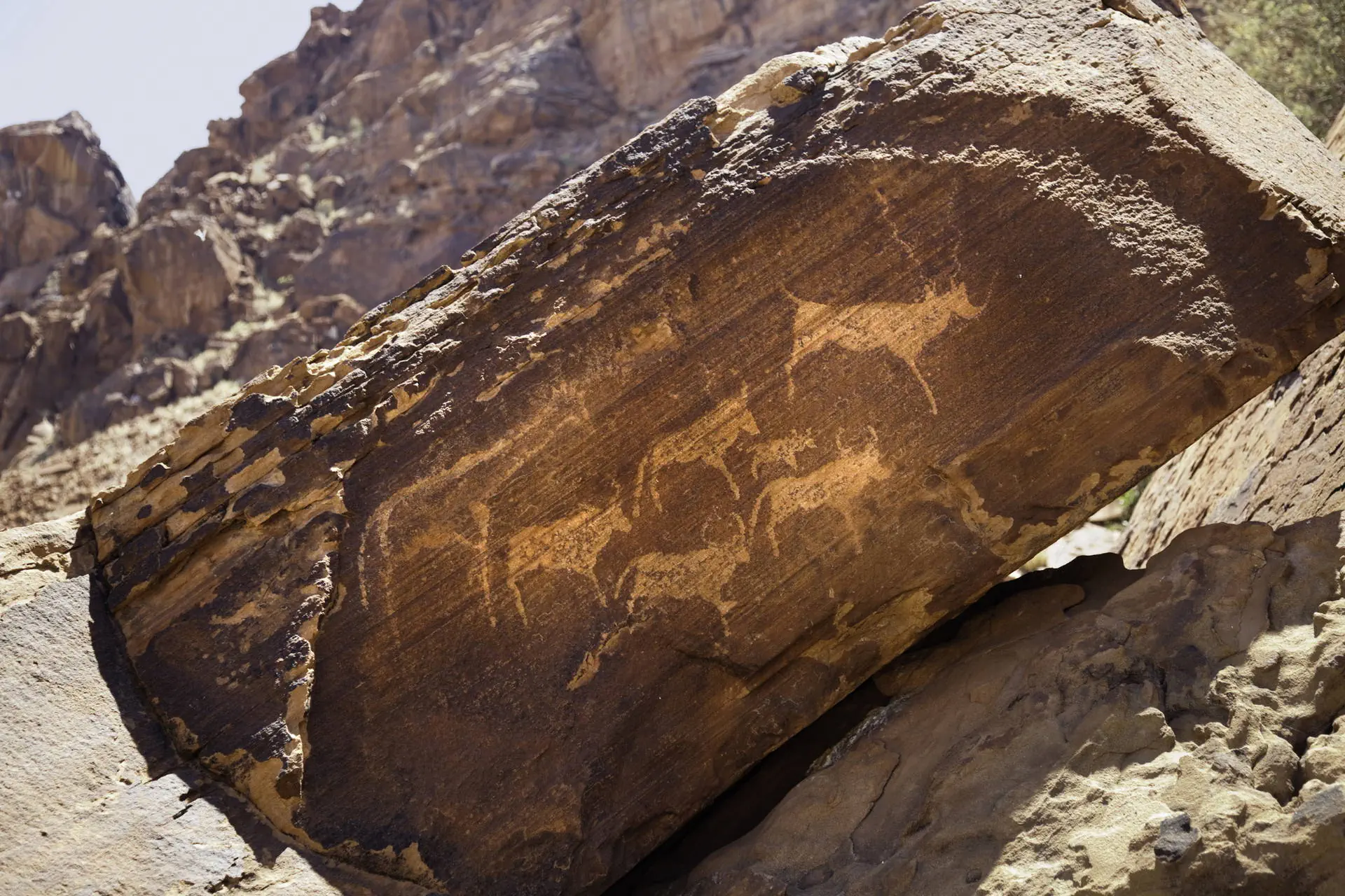Po drodze do Himba - RPA i Namibia - zdjęcie 5