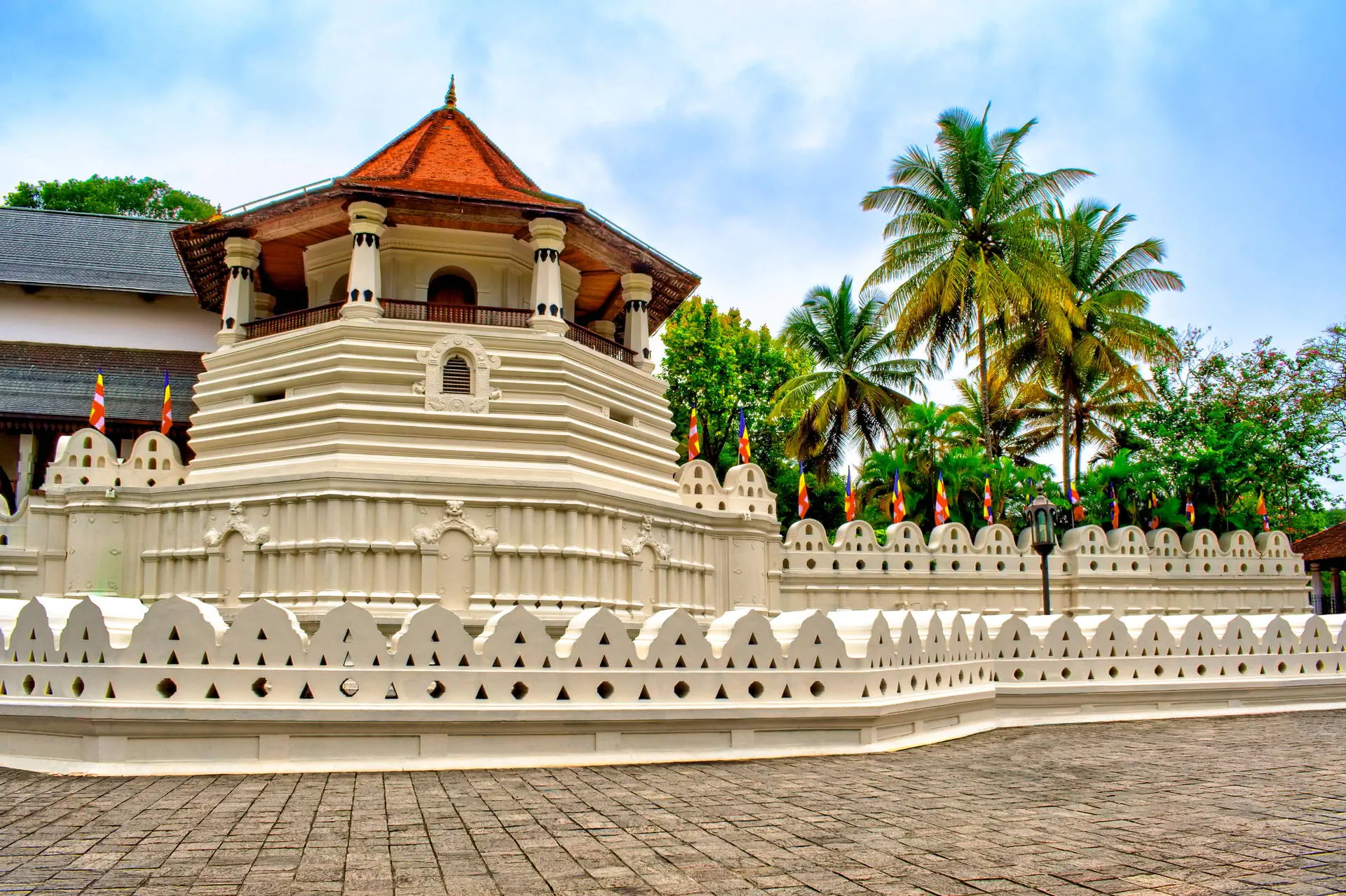 Sri Lanka- Smak Herbaty z Cynamonem - zdjęcie 26