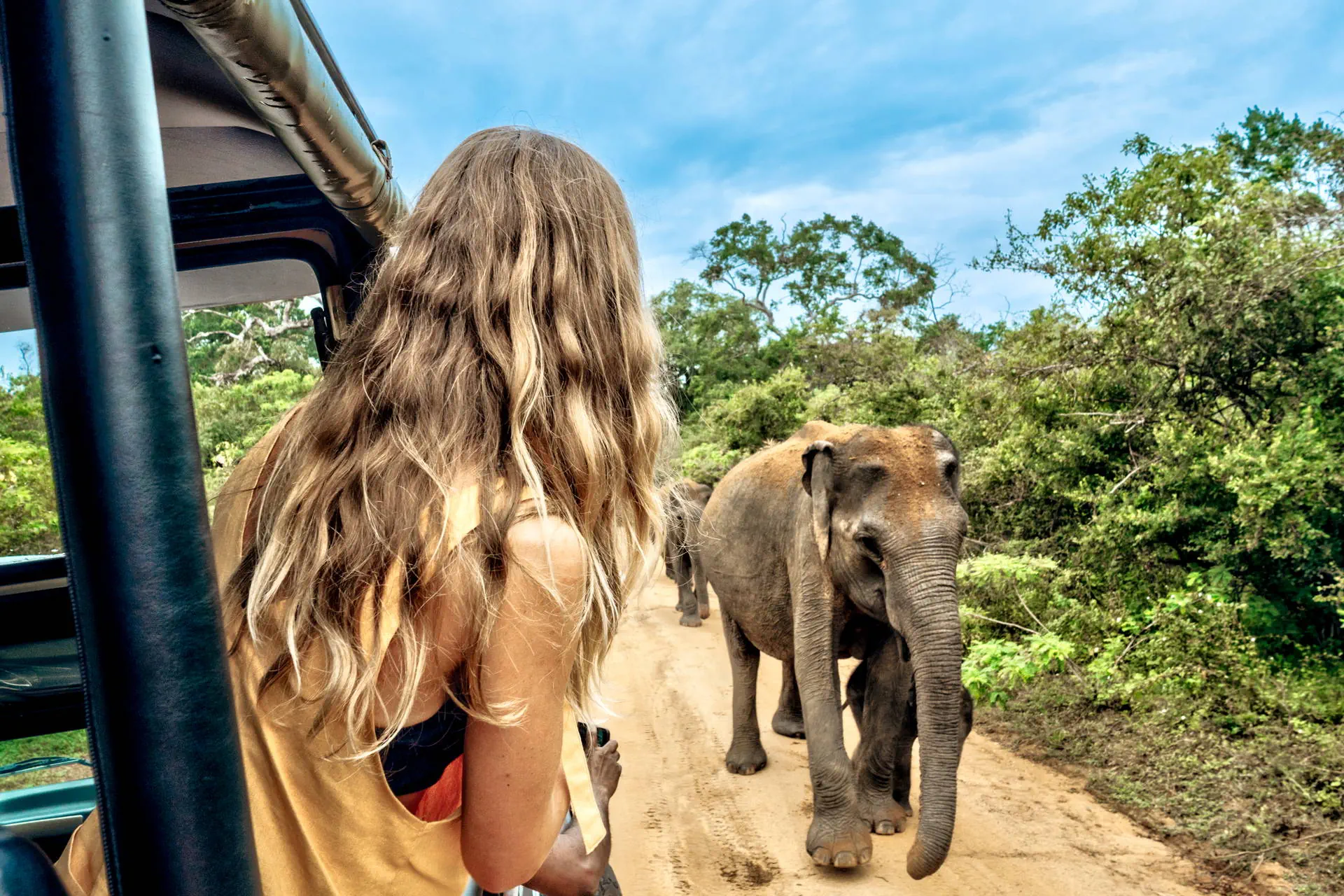 Sri Lanka- Smak Herbaty z Cynamonem - zdjęcie 12