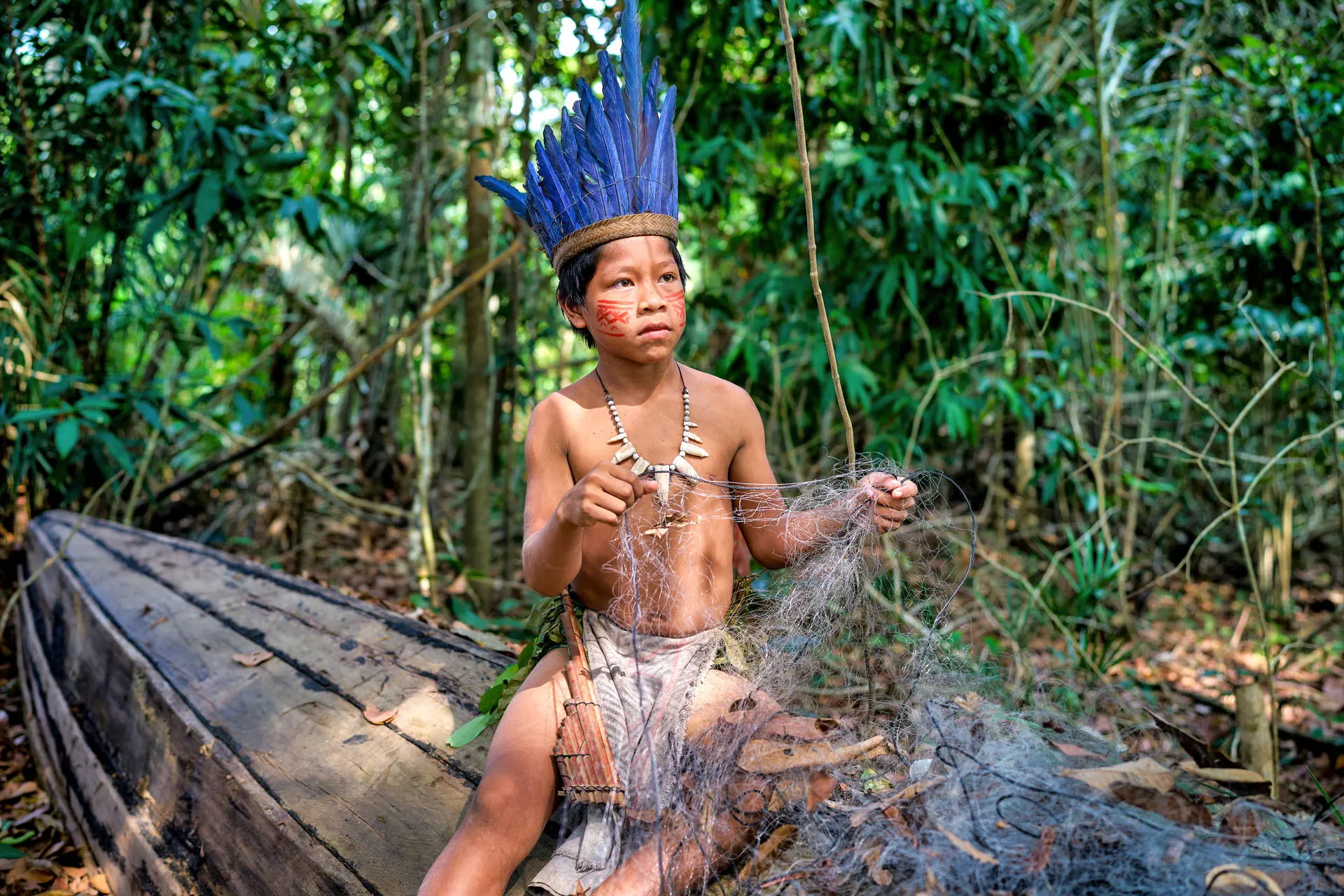 Nieokiełznana przyroda - Manaus, Iguacu - zdjęcie 4