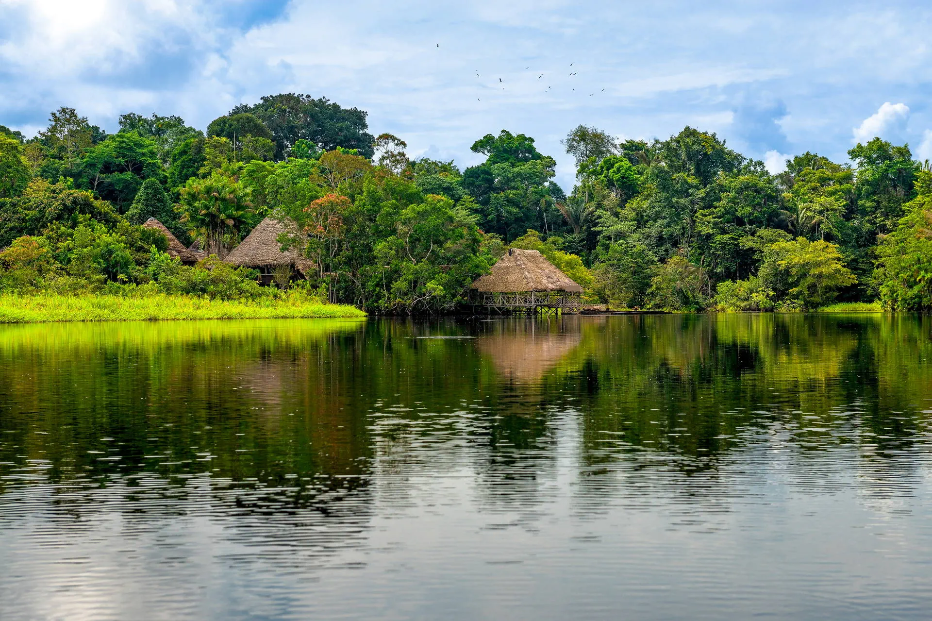 Nieokiełznana przyroda - Manaus, Iguacu - zdjęcie 12
