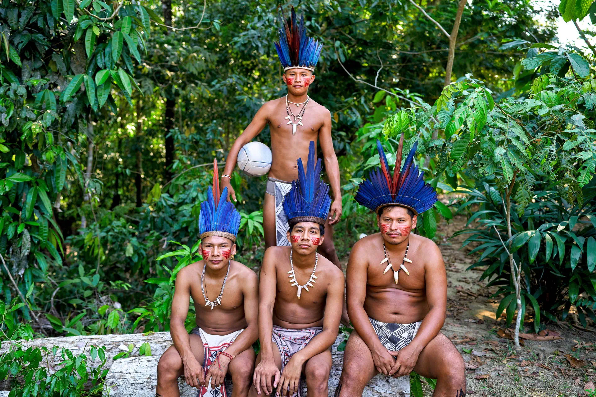 Nieokiełznana przyroda - Manaus, Iguacu - zdjęcie 11