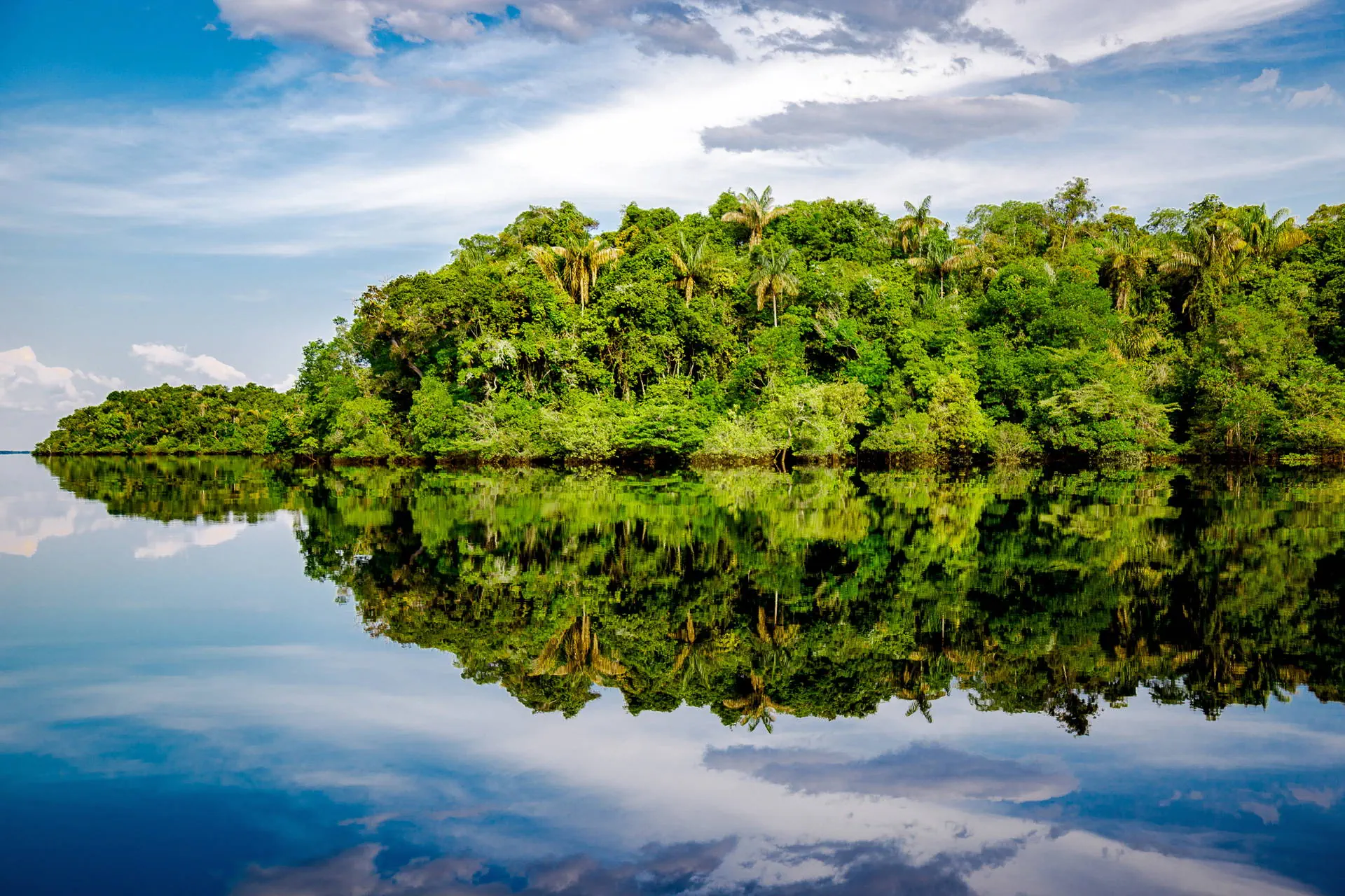 Nieokiełznana przyroda - Manaus, Iguacu - zdjęcie 33