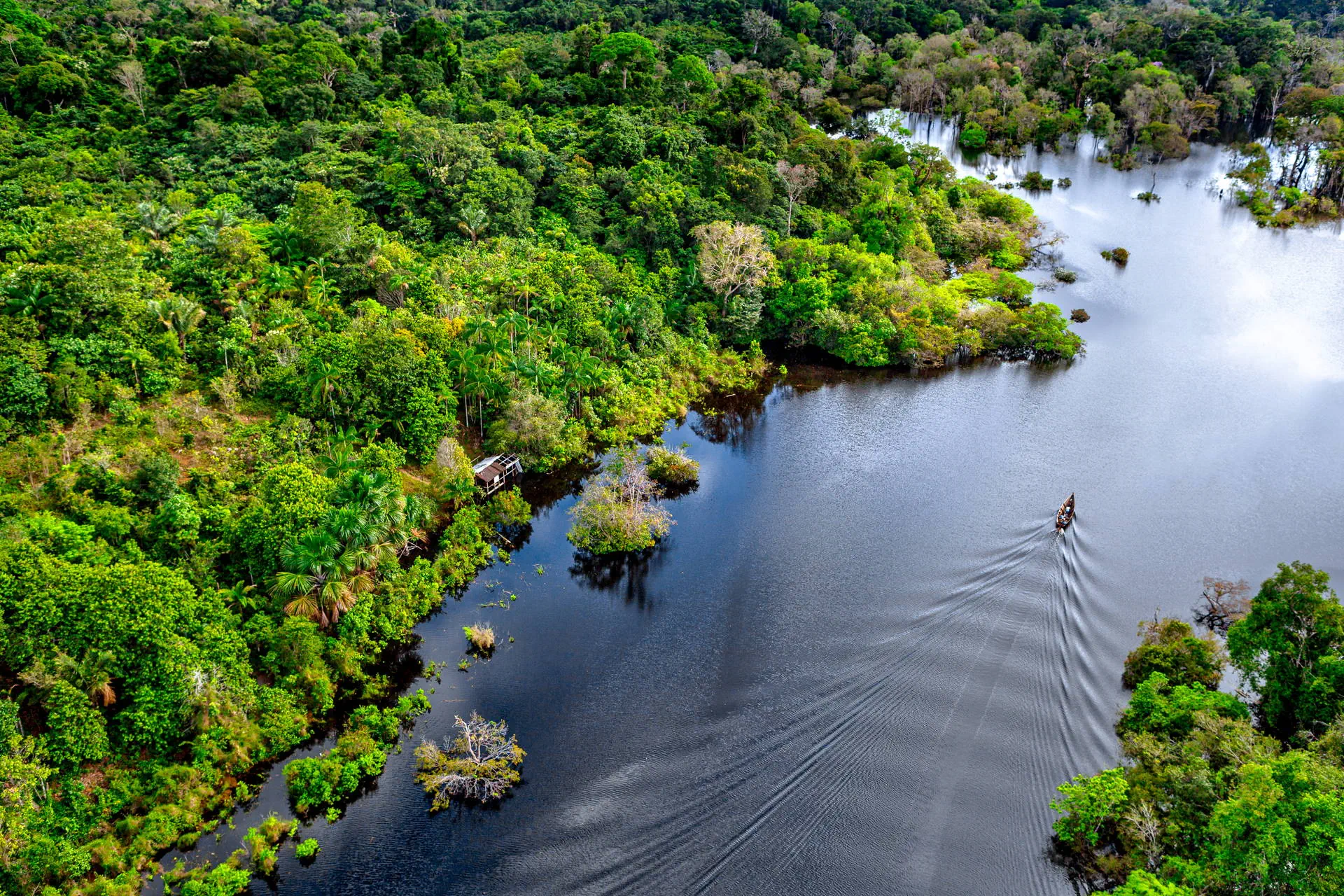 Nieokiełznana przyroda - Manaus, Iguacu - zdjęcie 18