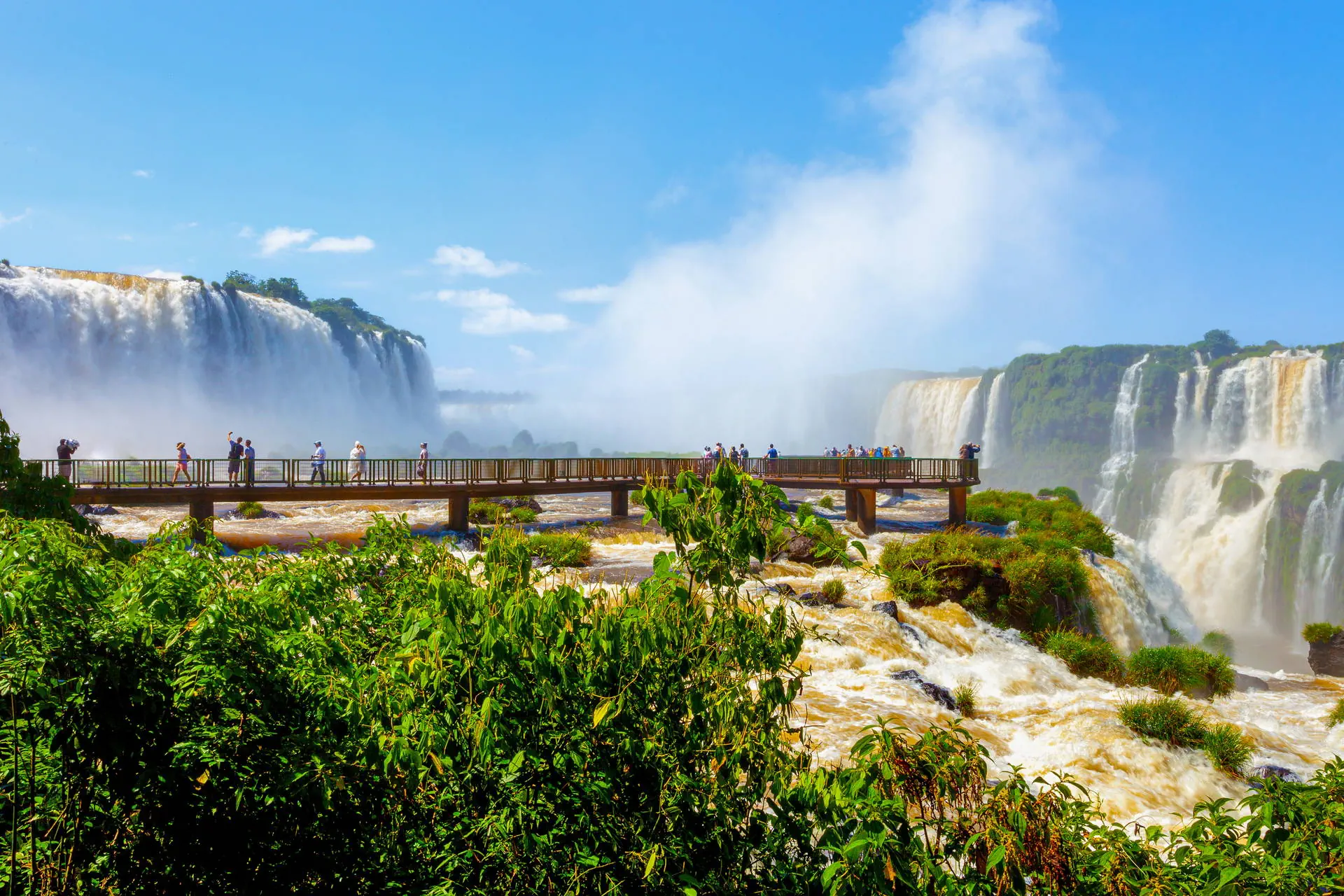 Nieokiełznana przyroda - Manaus, Iguacu - zdjęcie 27