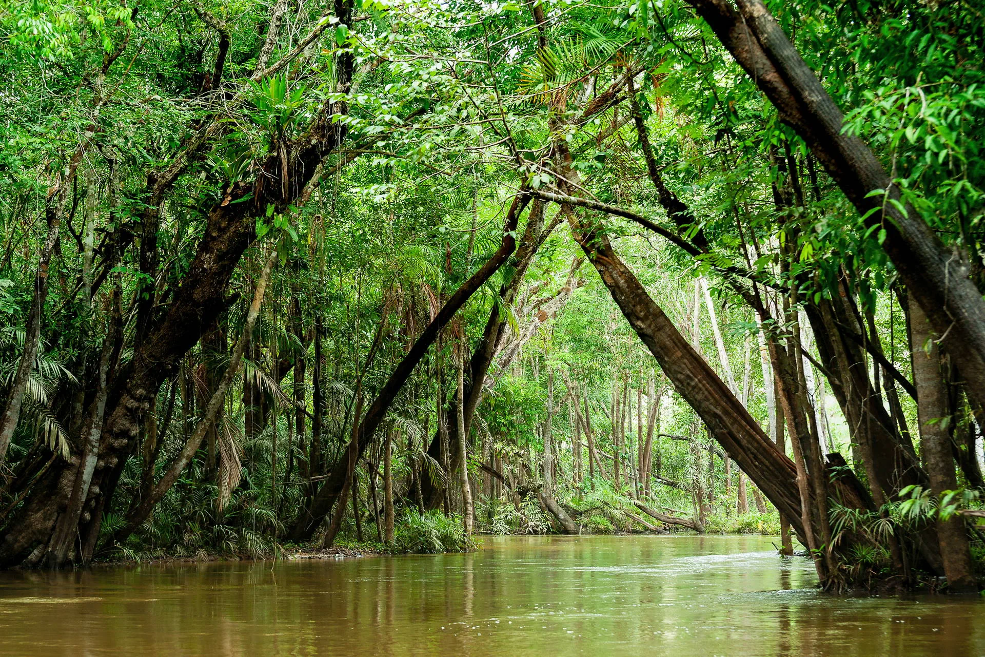Nieokiełznana przyroda - Manaus, Iguacu - zdjęcie 24
