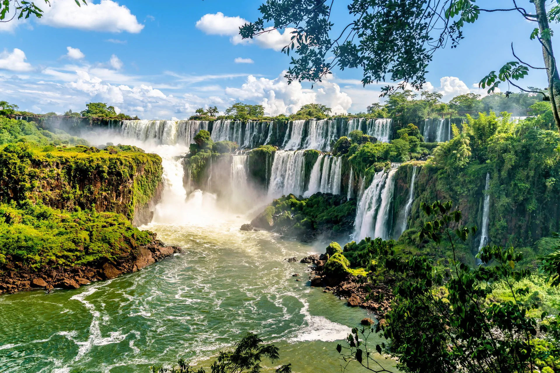 Nieokiełznana przyroda - Manaus, Iguacu - zdjęcie 2