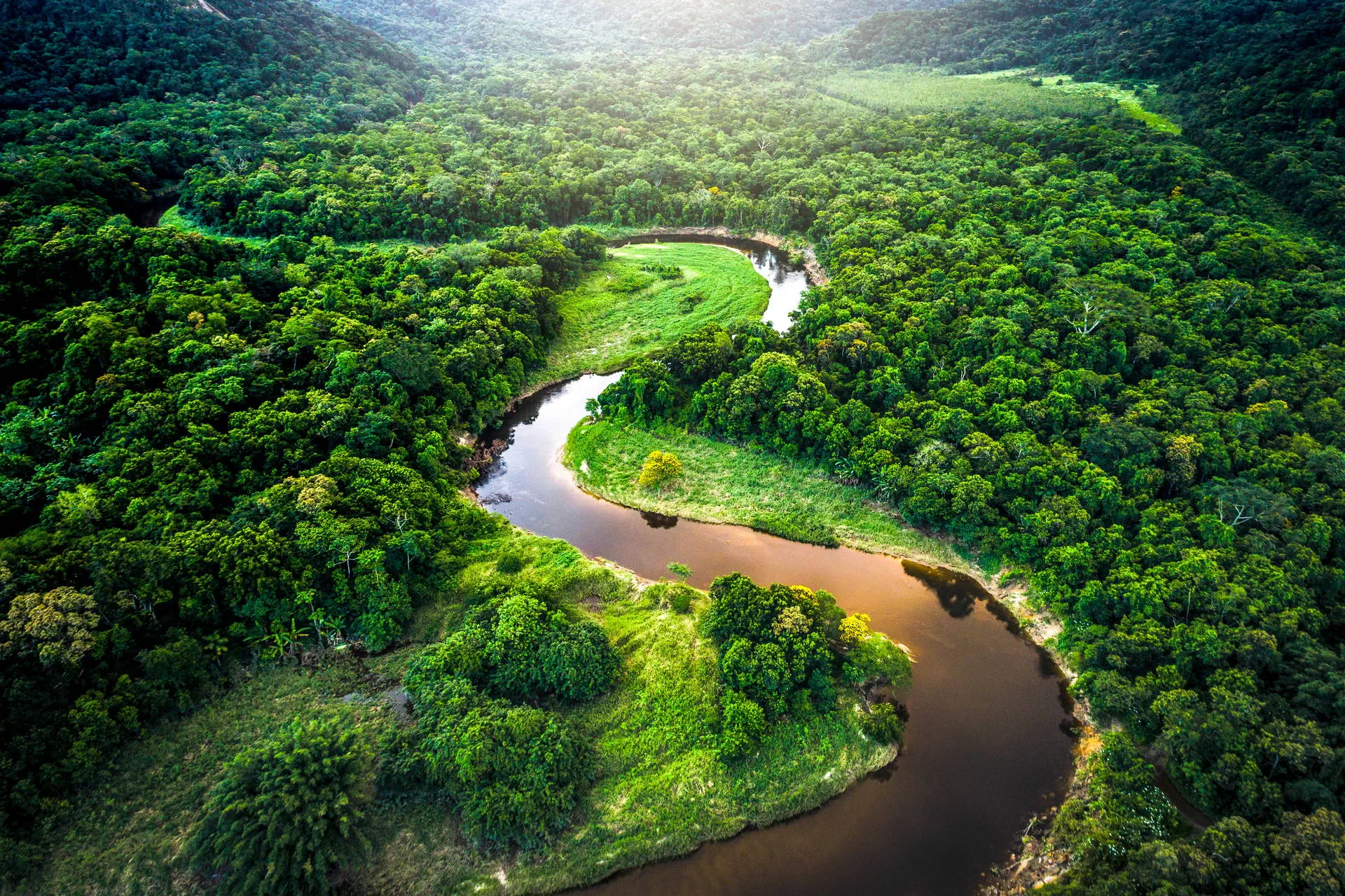 Nieokiełznana przyroda - Manaus, Iguacu - zdjęcie 21