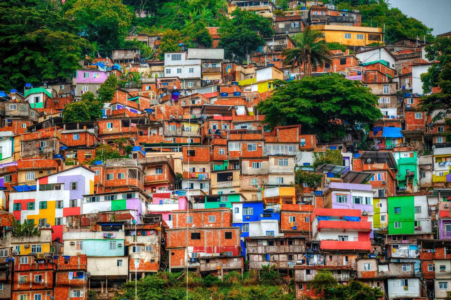 Egzotyka Light - Rio de Janeiro - zdjęcie 18