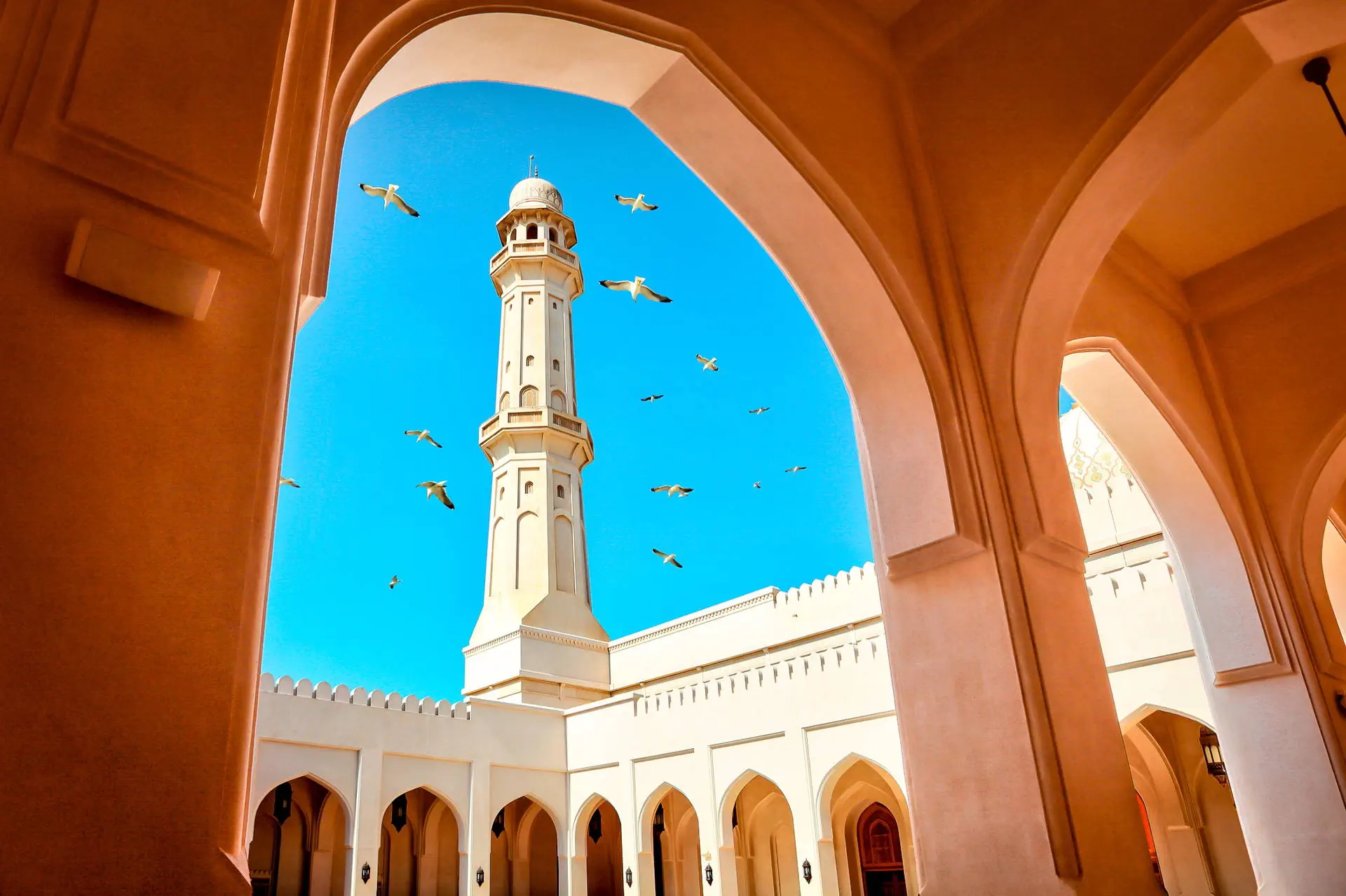 Egzotyka Light - Oman - zdjęcie 5