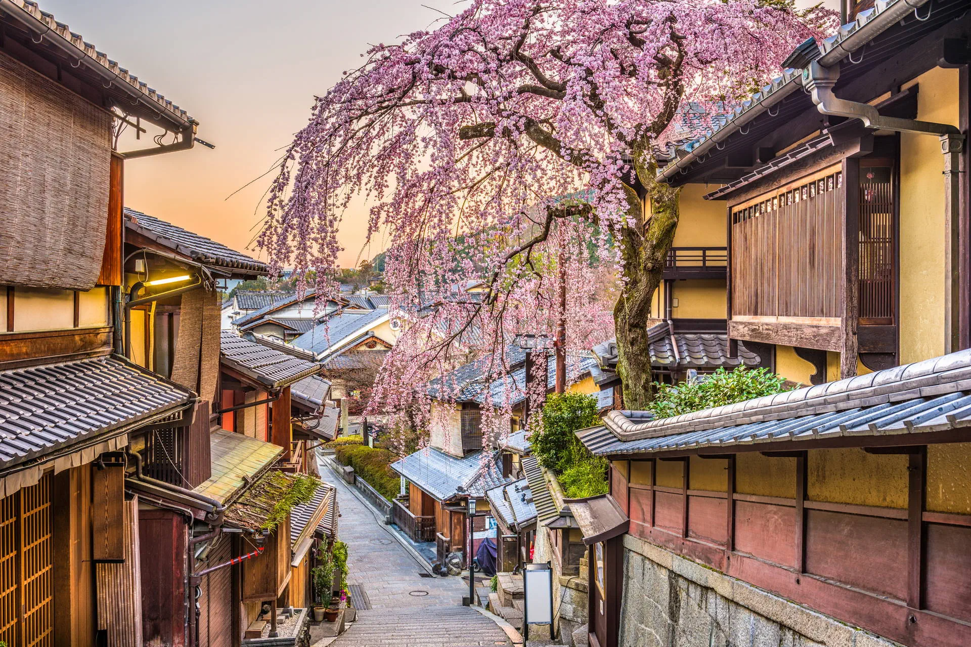 Chiny i Japonia - Dwa oblicza Orientu - zdjęcie 19