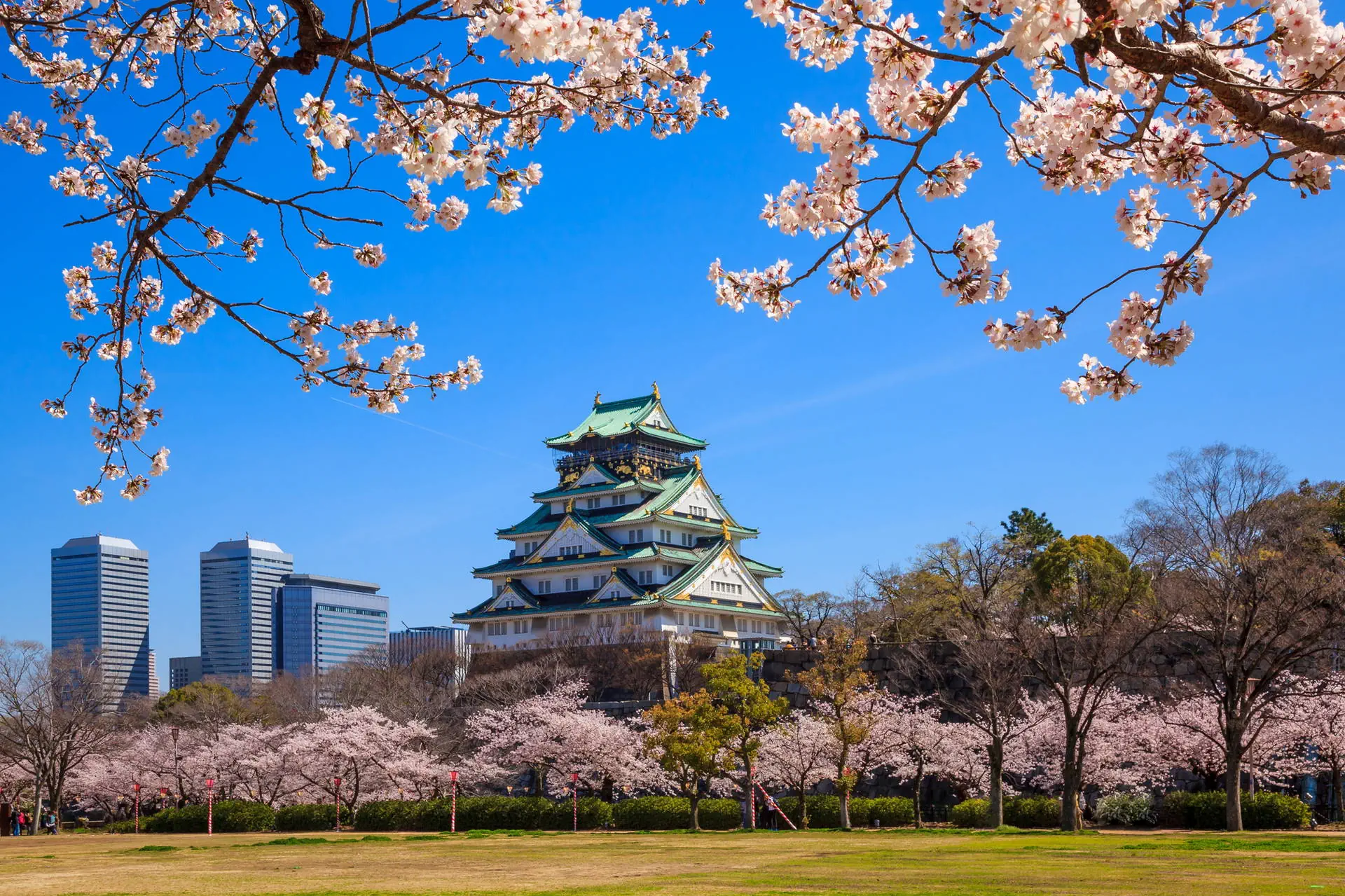 Chiny i Japonia - Dwa oblicza Orientu - zdjęcie 23