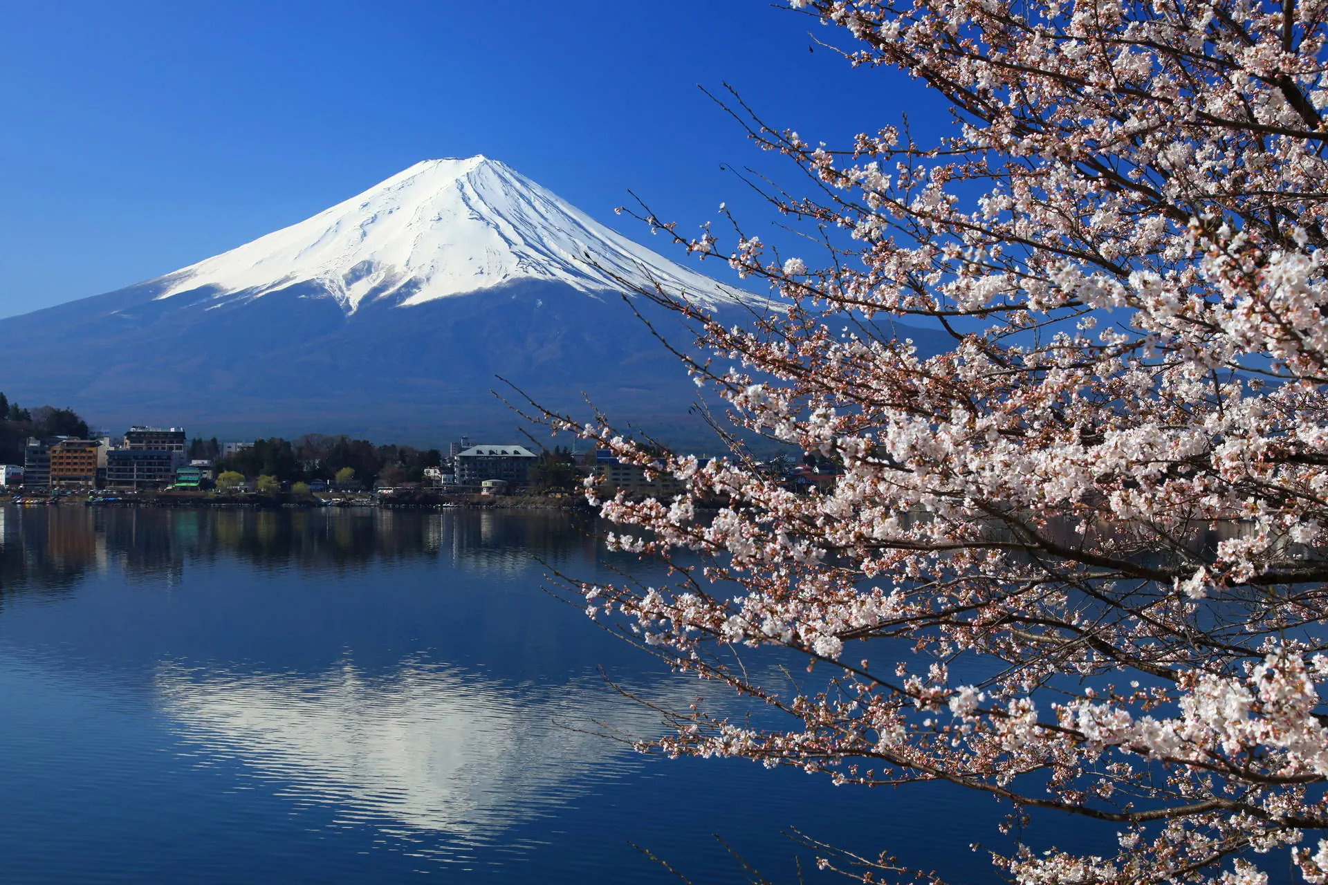 Chiny i Japonia - Dwa oblicza Orientu - zdjęcie 21